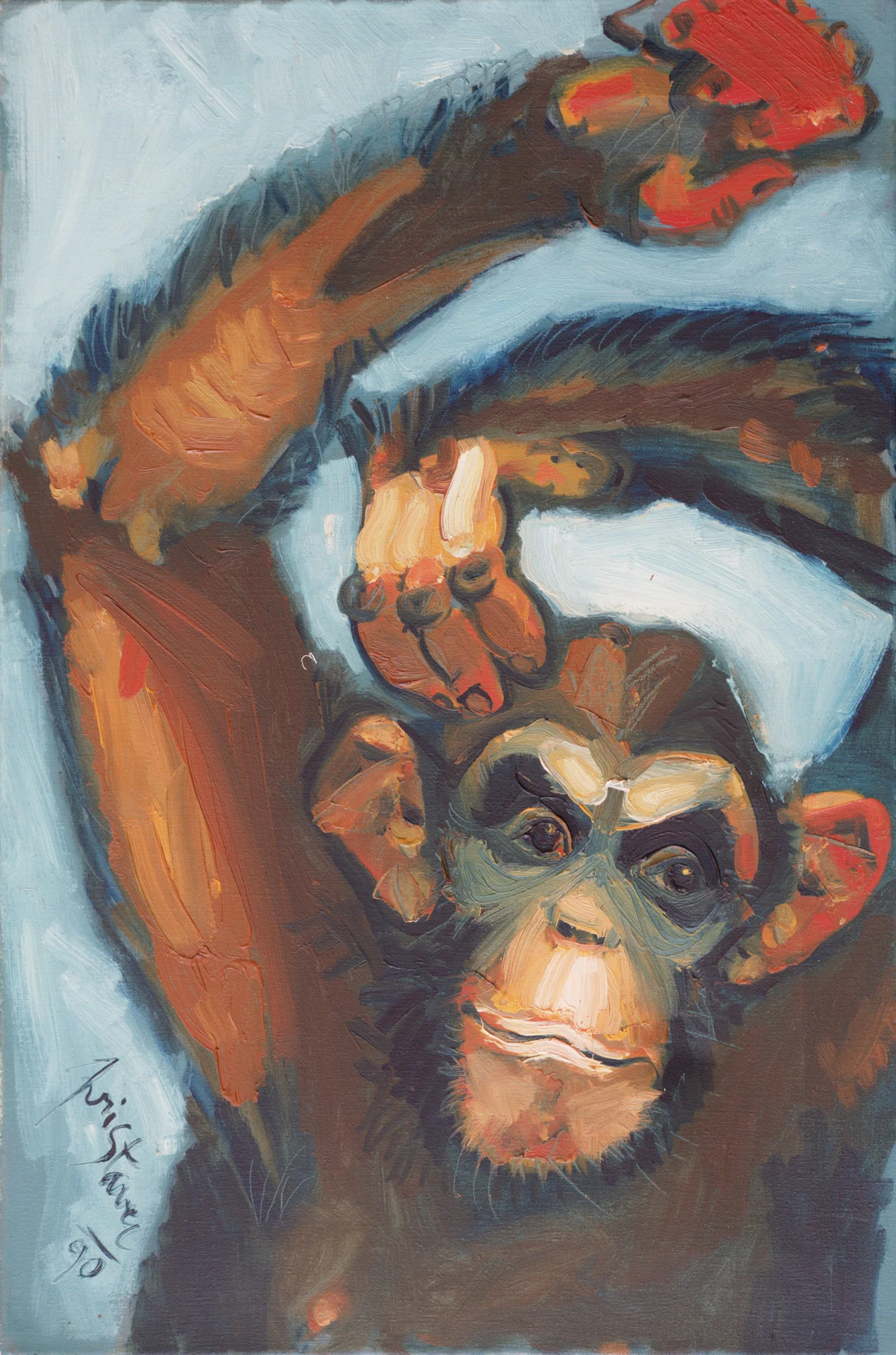 Chimpanzee / 1990 / oil on canvas / 40 x 60 cm