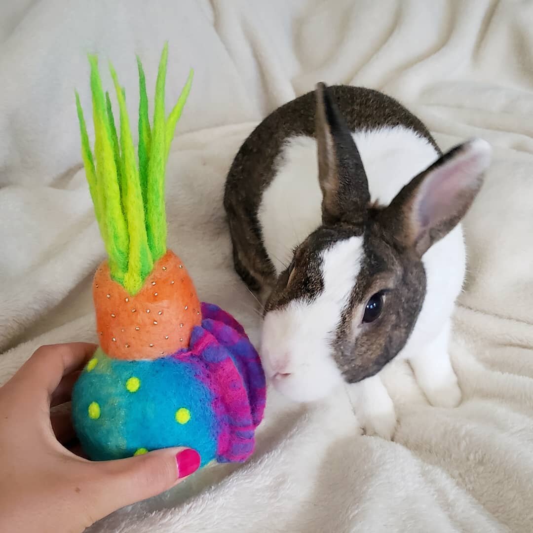 He's disappointed it's not a carrot 🤭 🥕
(I gave him a celery snack instead)🌈
.
.
.
#fiberartist #colorfulartwork #colorfullife #studiopet #feltedsculpture #outoftheordinary #bostonfiberartist