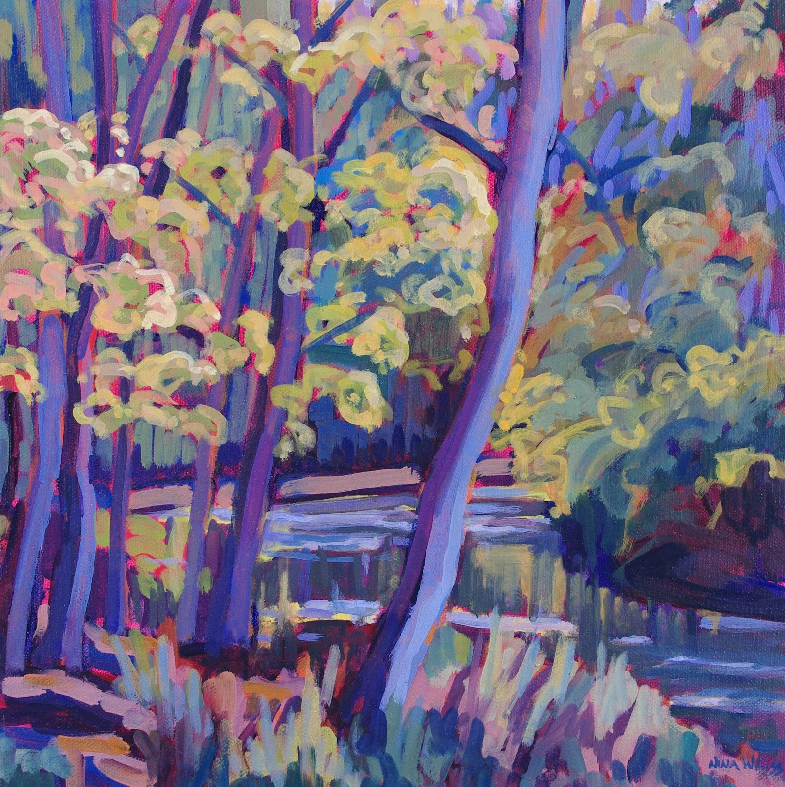 Chagrin Falls Waterway