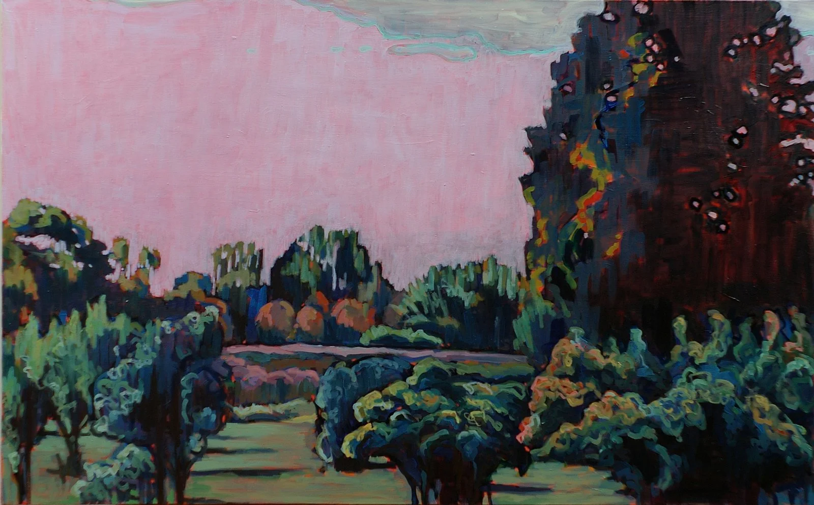 Pink Sky Landscape