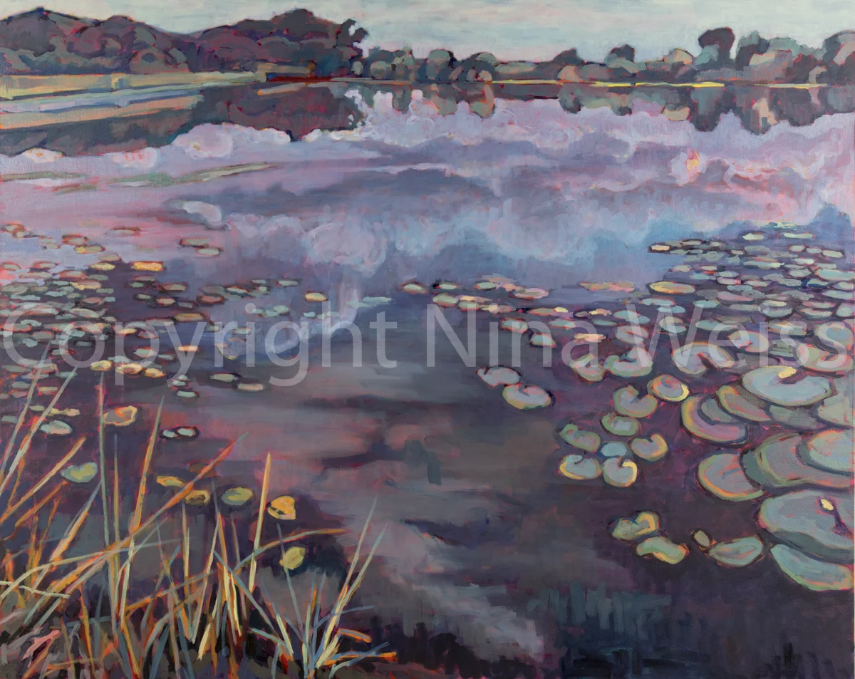 HIDDEN REFLECTIONS II