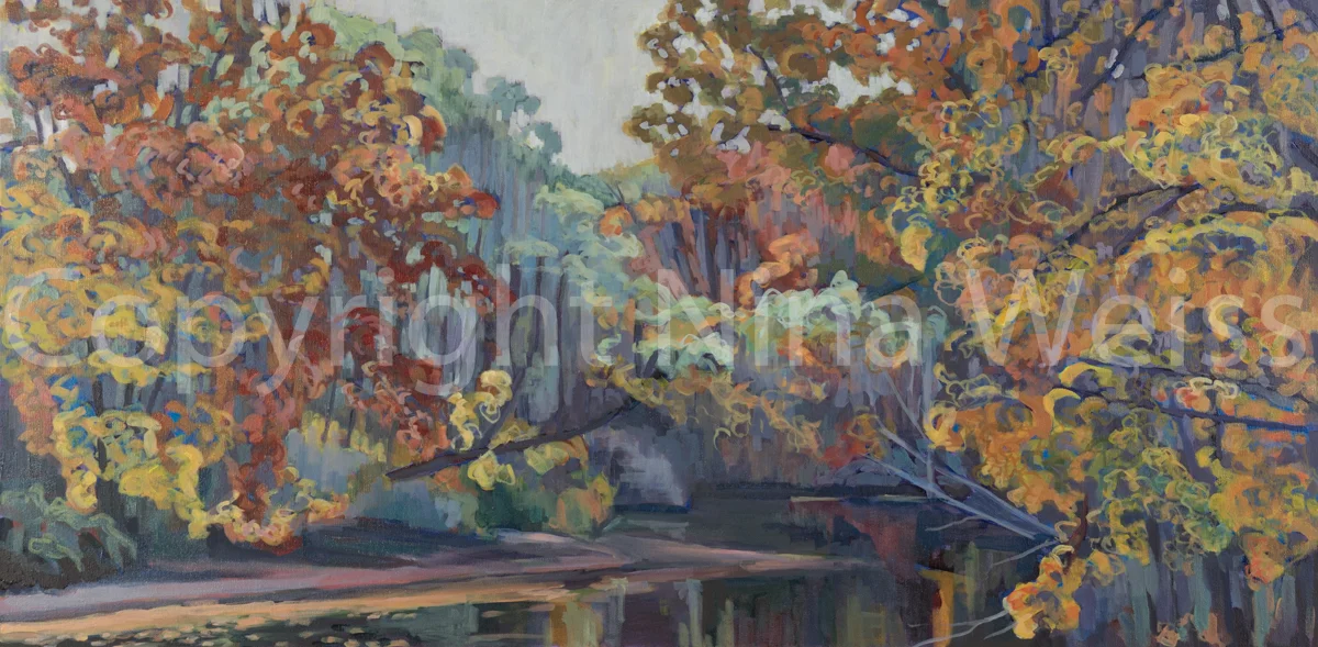 CHAGRIN RIVER; AUTUMN