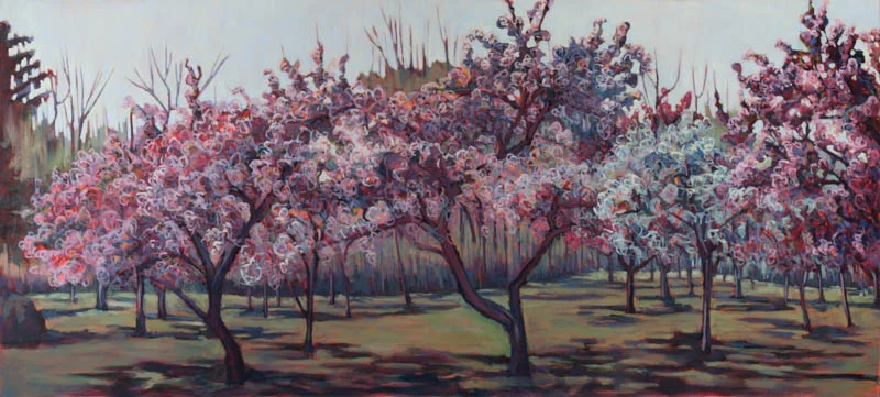 CRABTREE SPRING