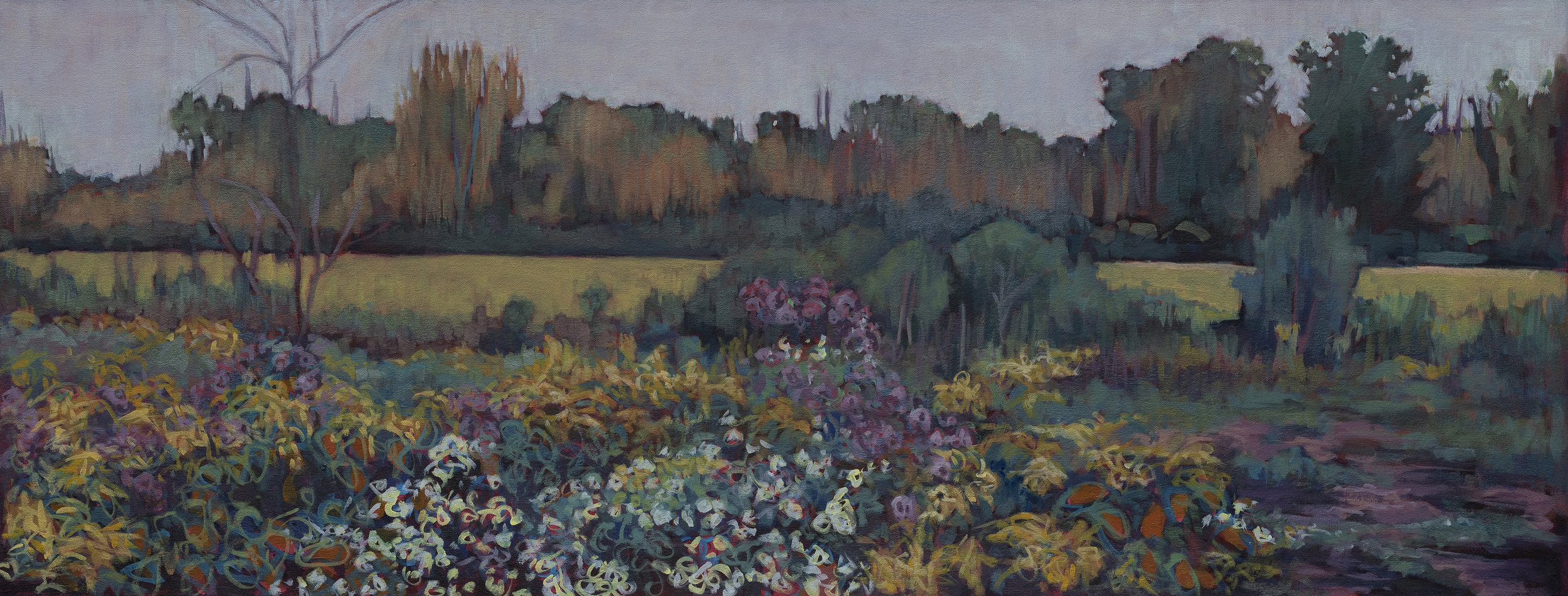 Summer Field 18" X 46"