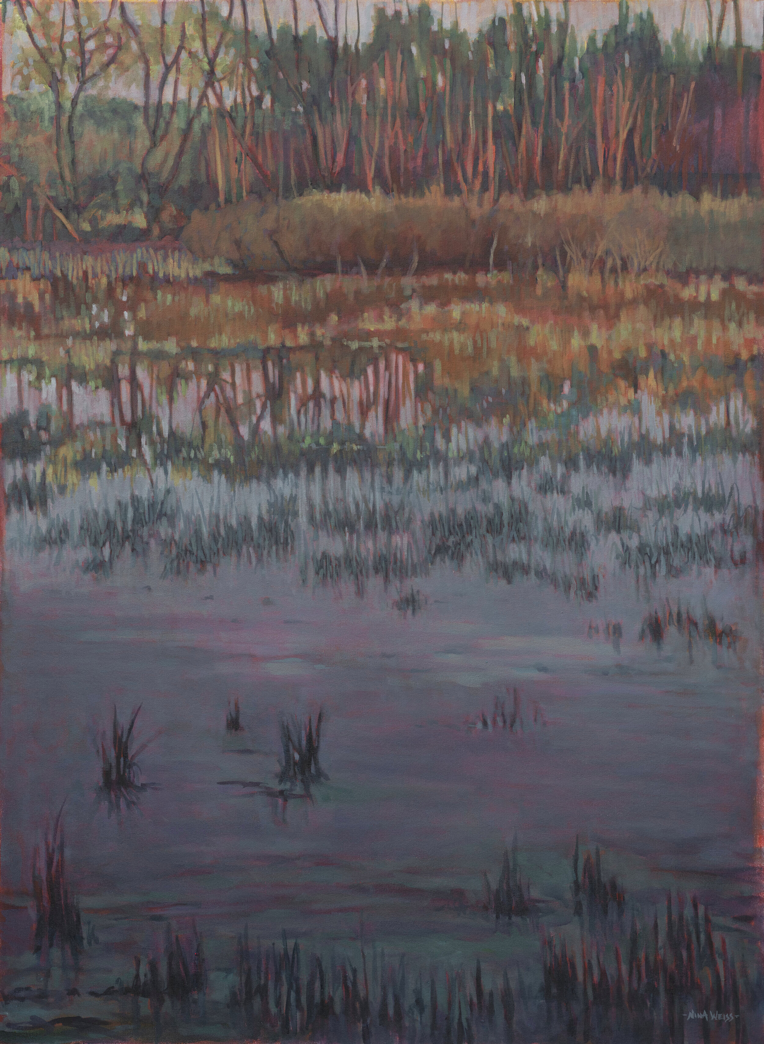 Galien River Marsh  58" X 42" 