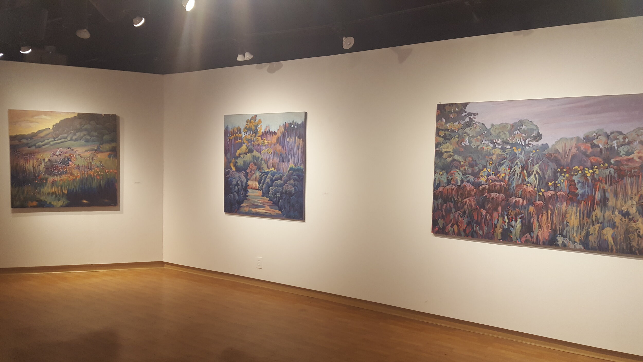 Dorothea Theil Gallery Installation 2018