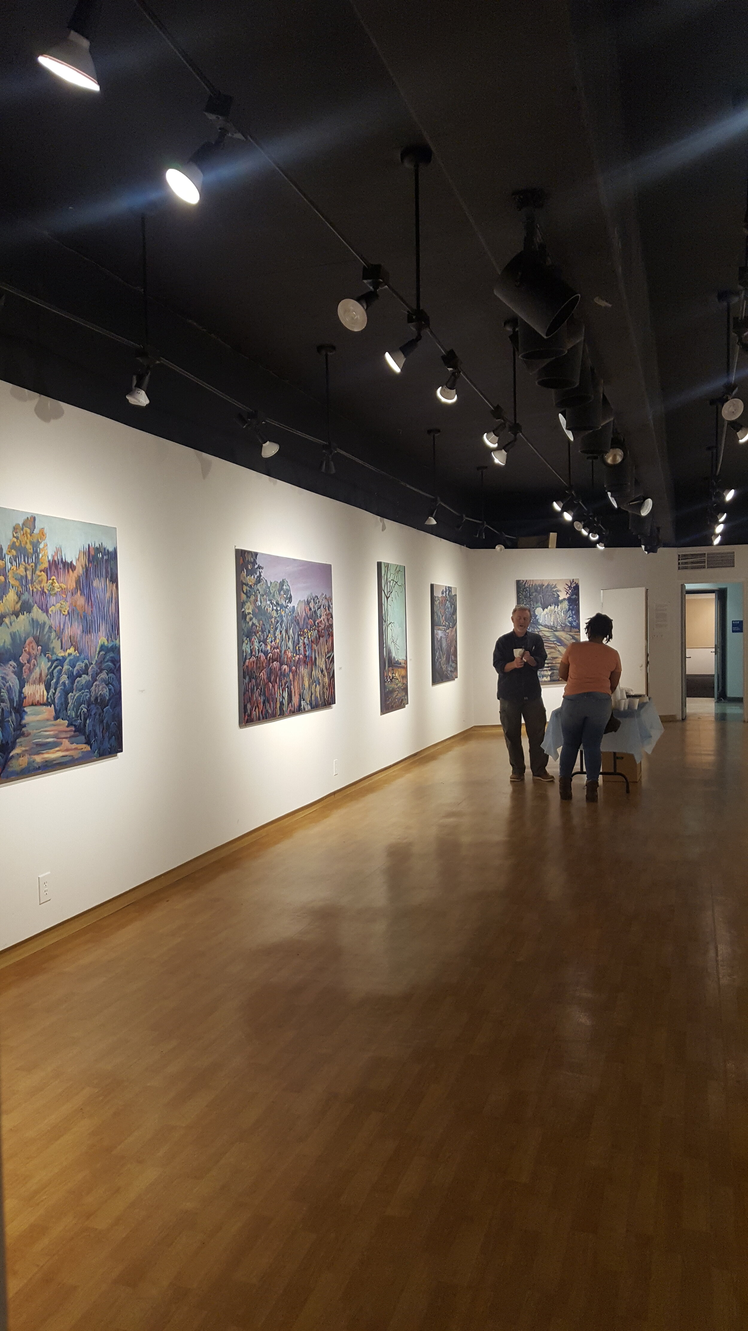 Dorothea Theil Gallery Installation 2018