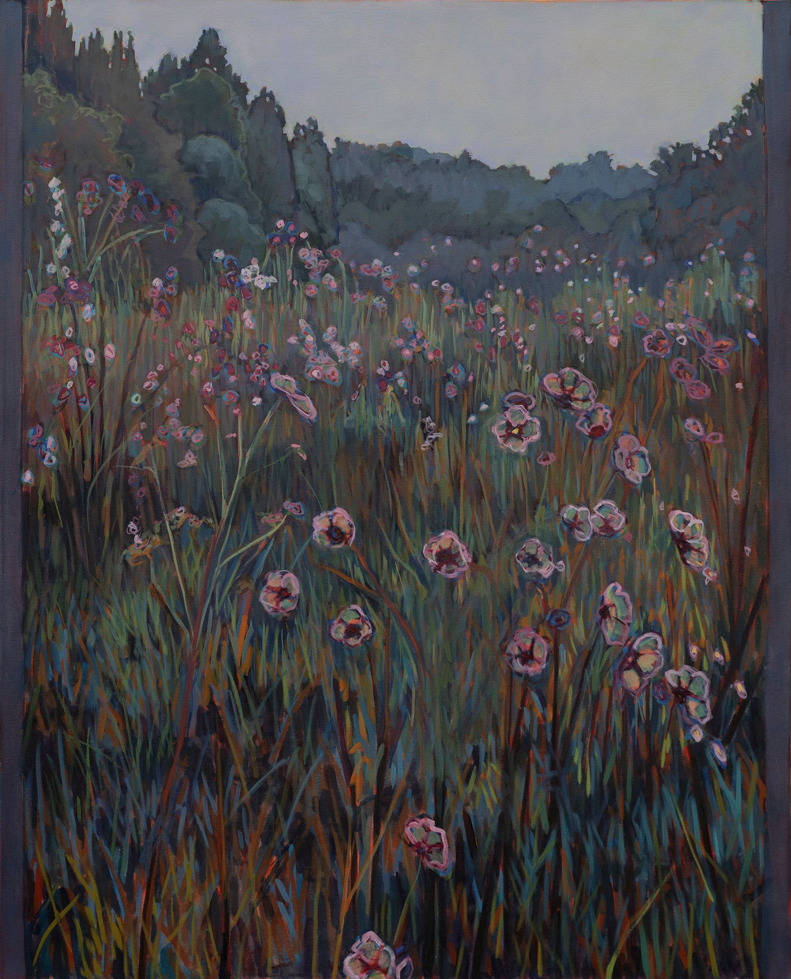 HOT SPRINGS PRAIRIE  64" x 52"