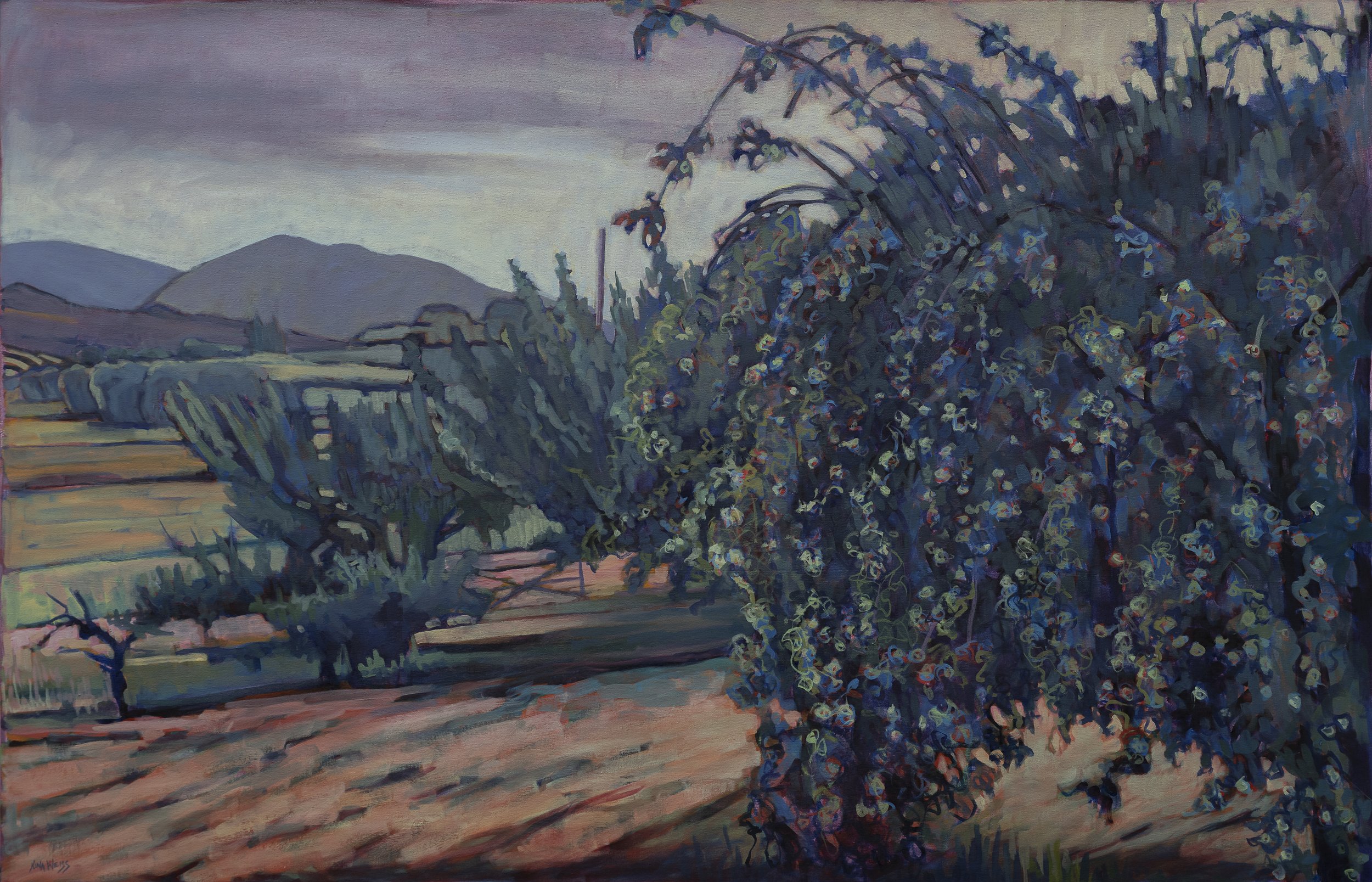 Orchard, Umbria   41" X 63"