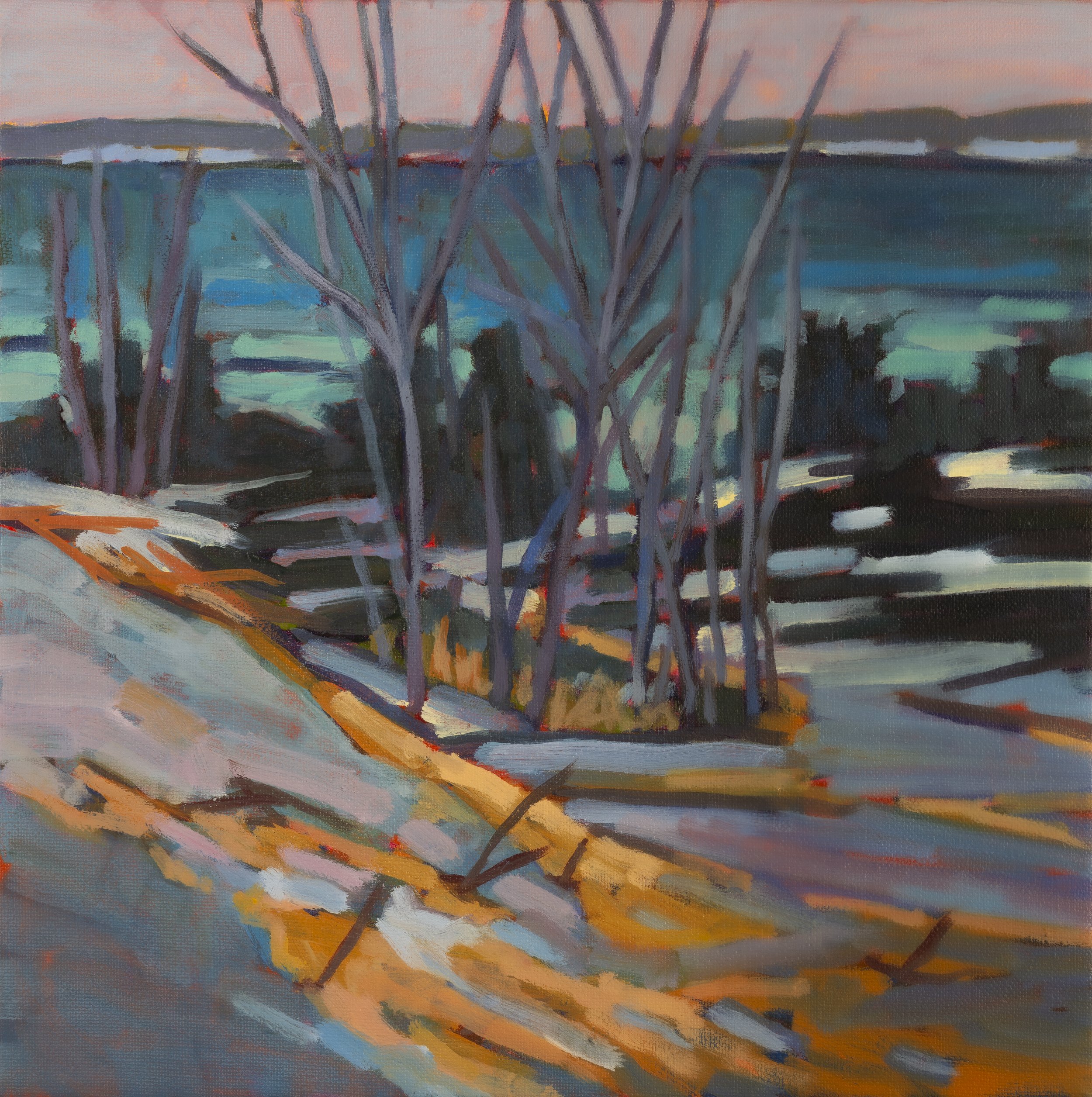 WINTER ON THE DUNES