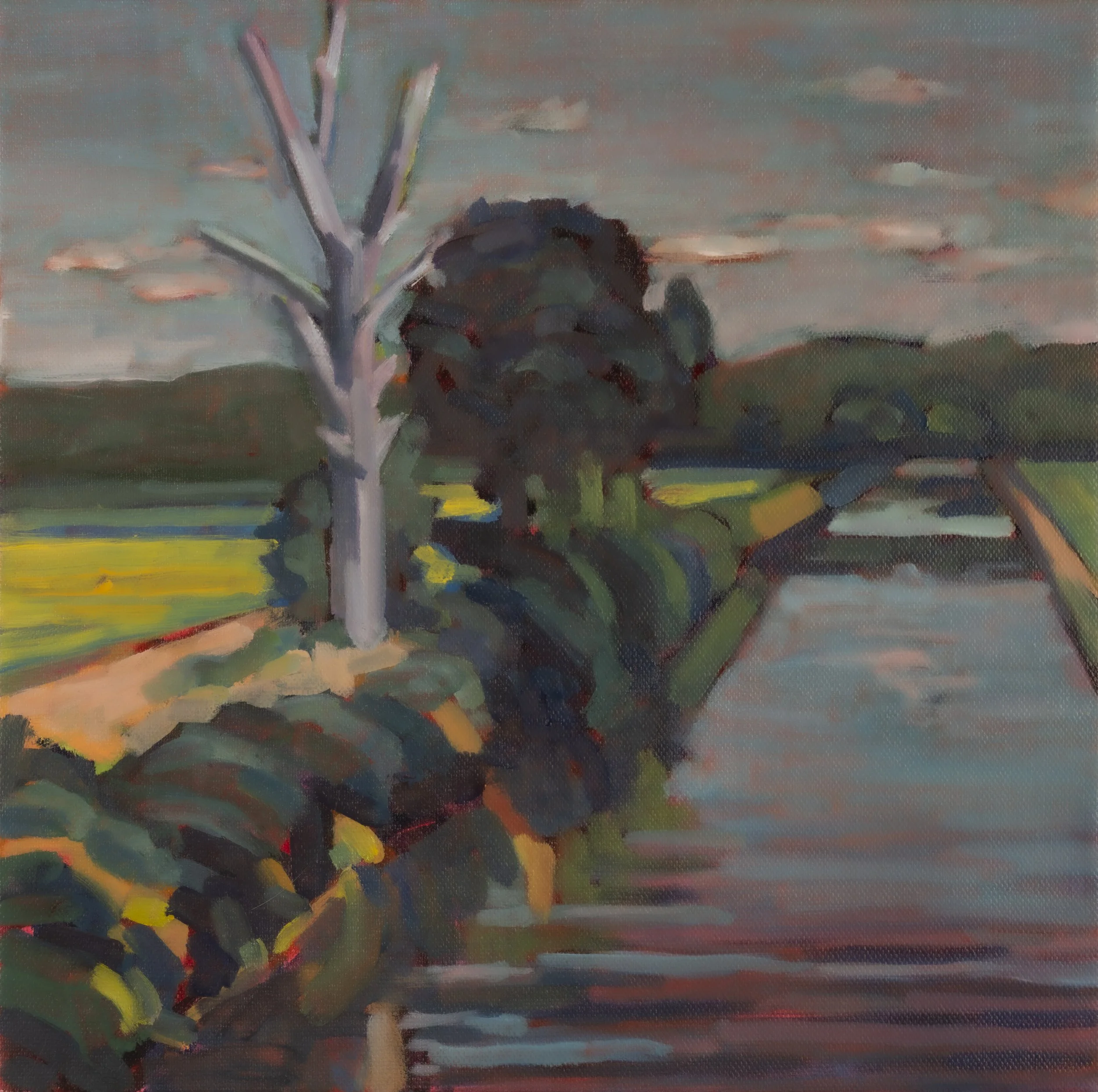 SUNFLOWERS ON THE NIVERNAIS