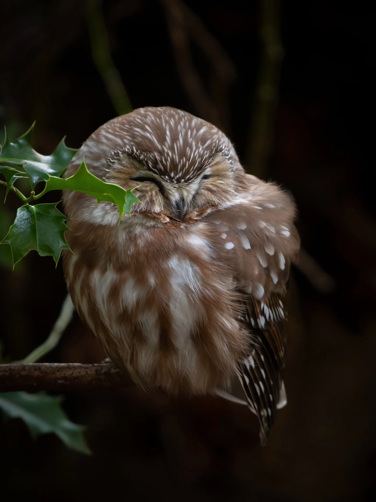 Happy Earth Day&hellip;/Night!
(I like to post late in the evening, because I don&rsquo;t want to be on my phone much during the day. I mean I could schedule posts, but I&rsquo;m going to defy the algorithm and do what I want, cause I don&rsquo;t caa