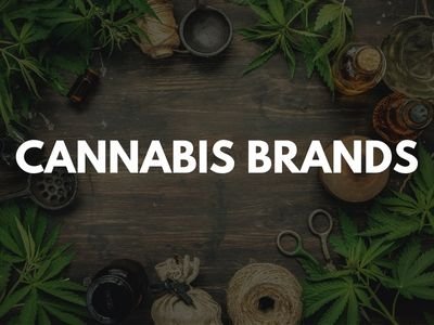 Best Affordable Cannabis Brand Marketing Agency in Bergen County NJ at Village Marketing Co. Specializes in Cannabis Brand Website Design