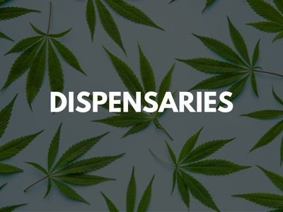 Best Affordable Marijuana Dispensary Marketing Agency in Bergen County NJ at Village Marketing Co. Specializes in Website Design for Dispensaries