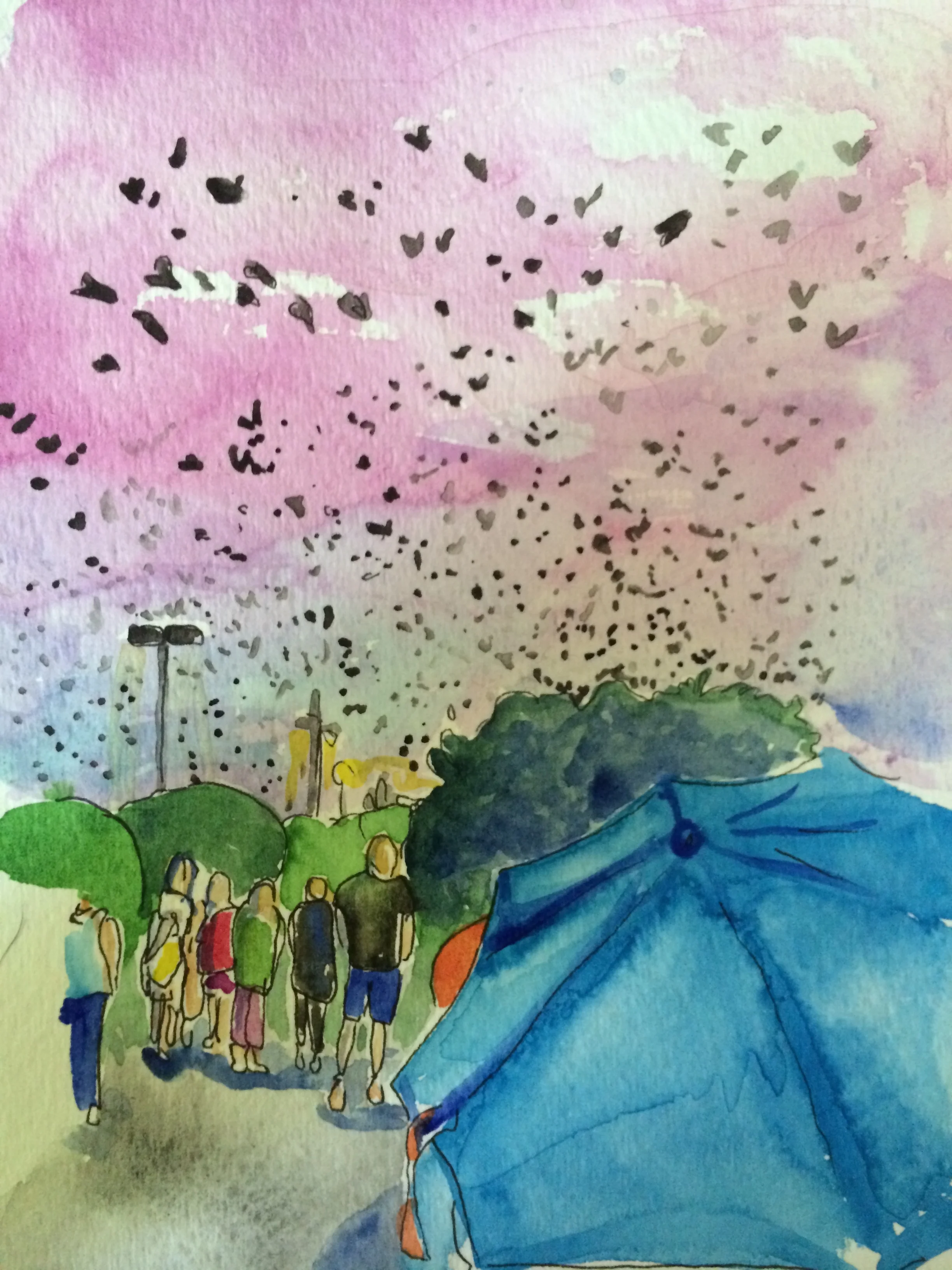 Purple Martins and Chimney Swifts