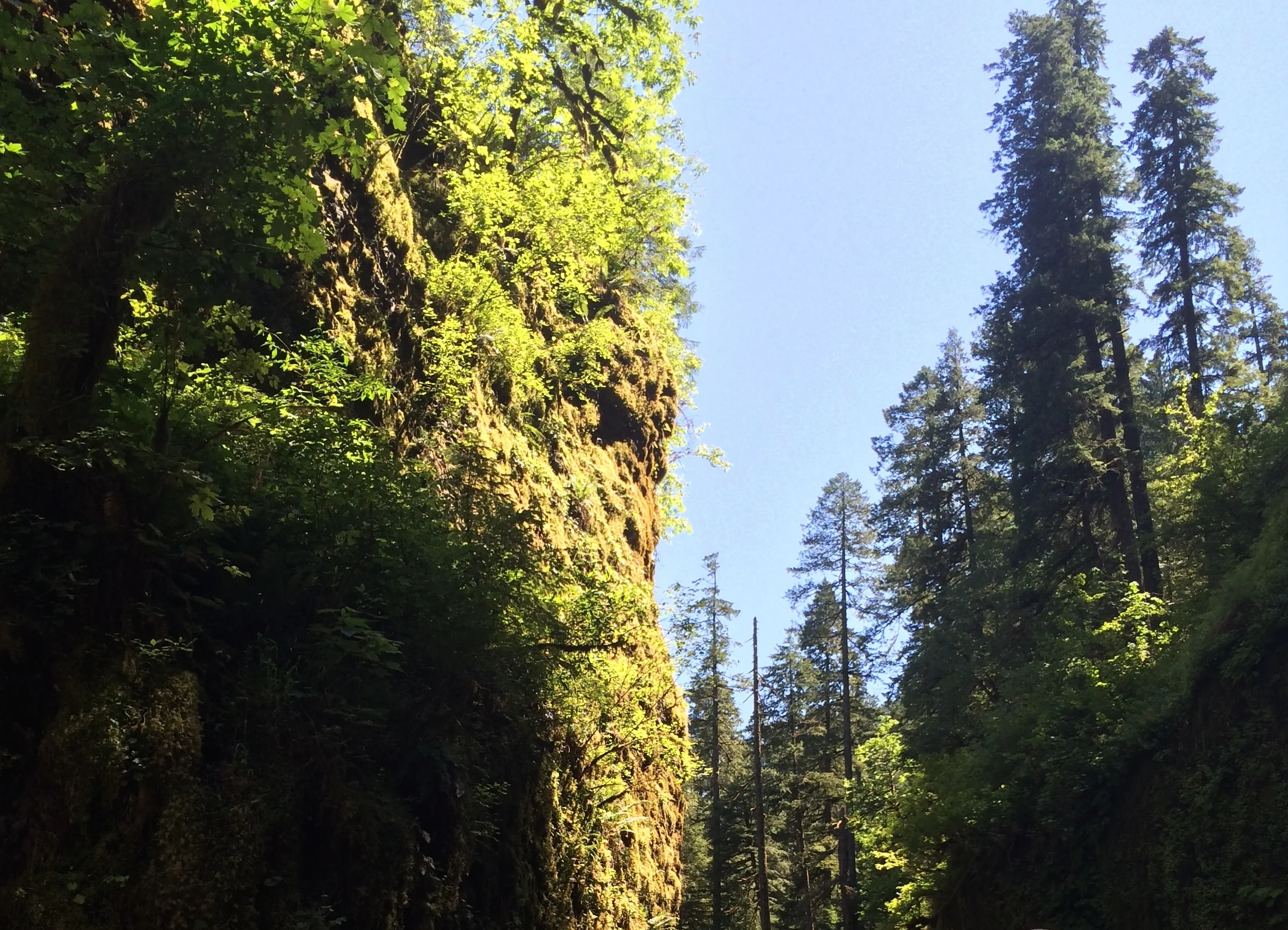 TOUR Day 8 - Oakland and Mild Panic