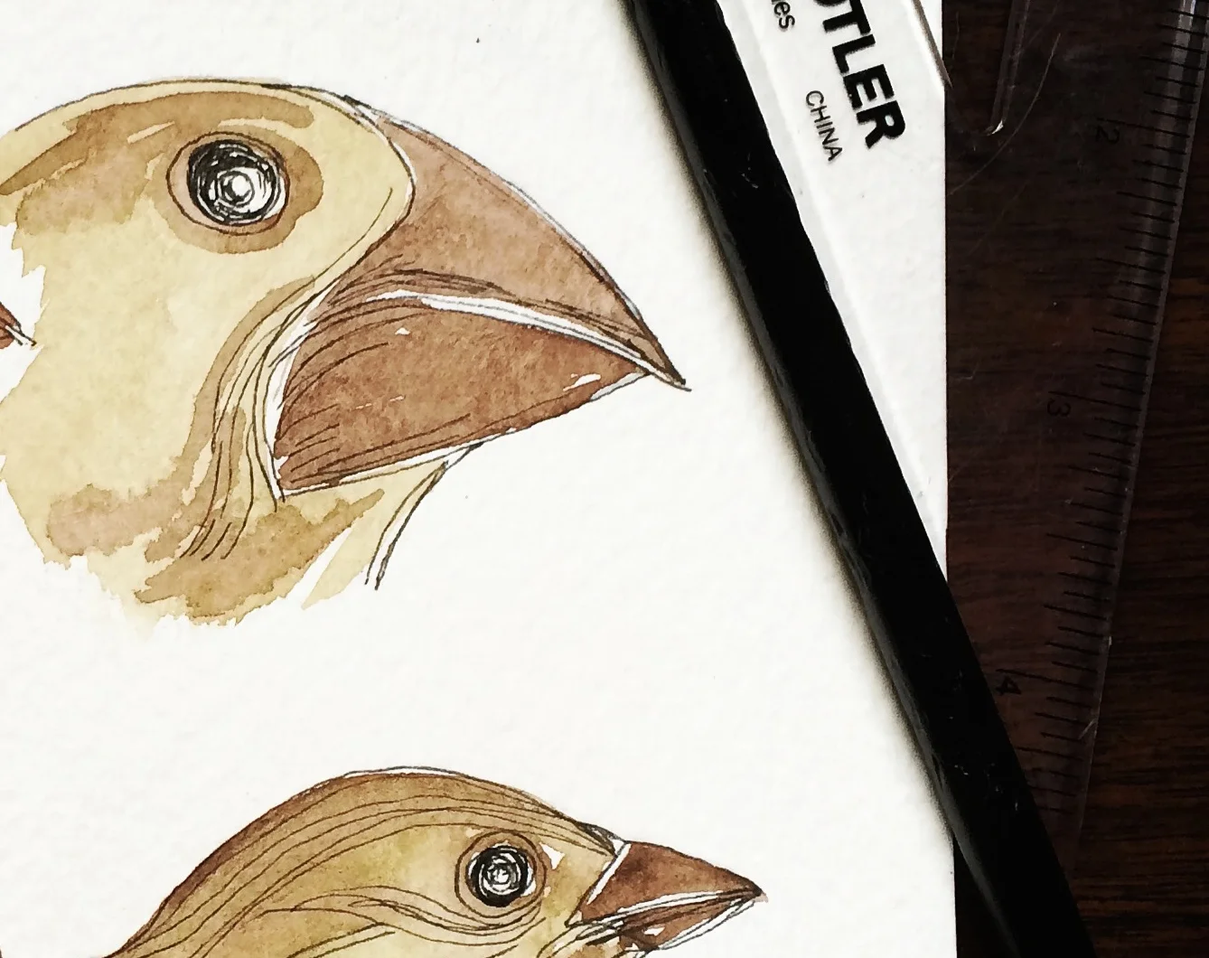 TOUR Day 10 - Seattle and Jamie