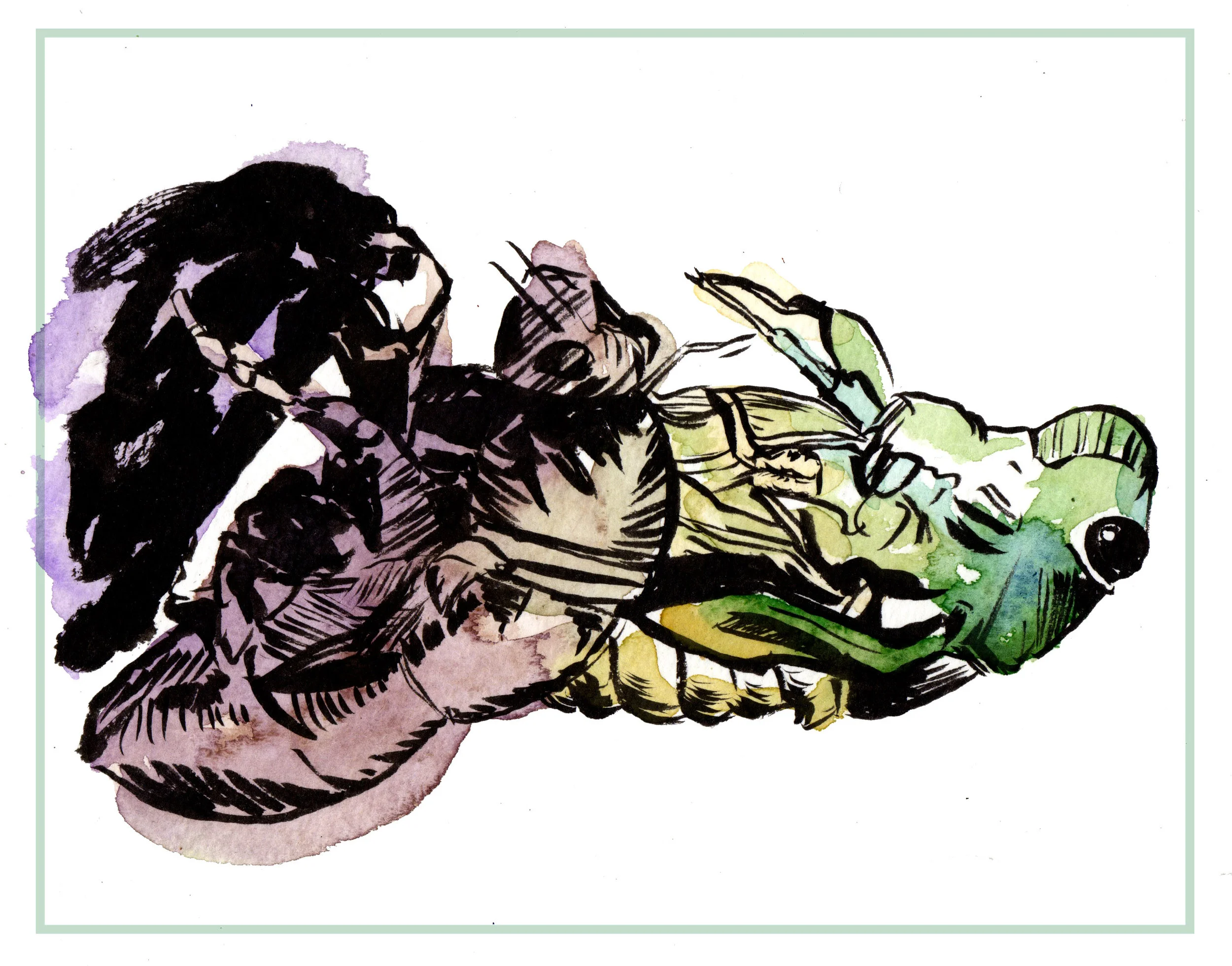 Molting