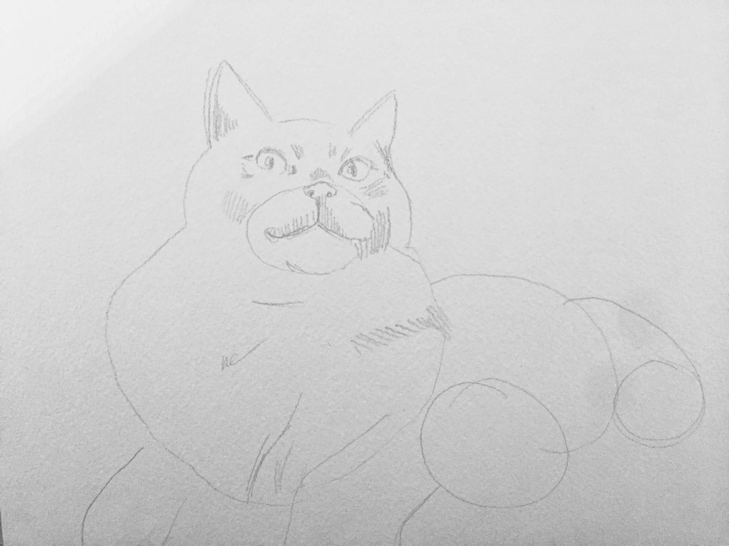 I've been penciling less lately, to see what I can achieve with the paints on the first go. I ended up erasing most of this, but not the detail around the face. 