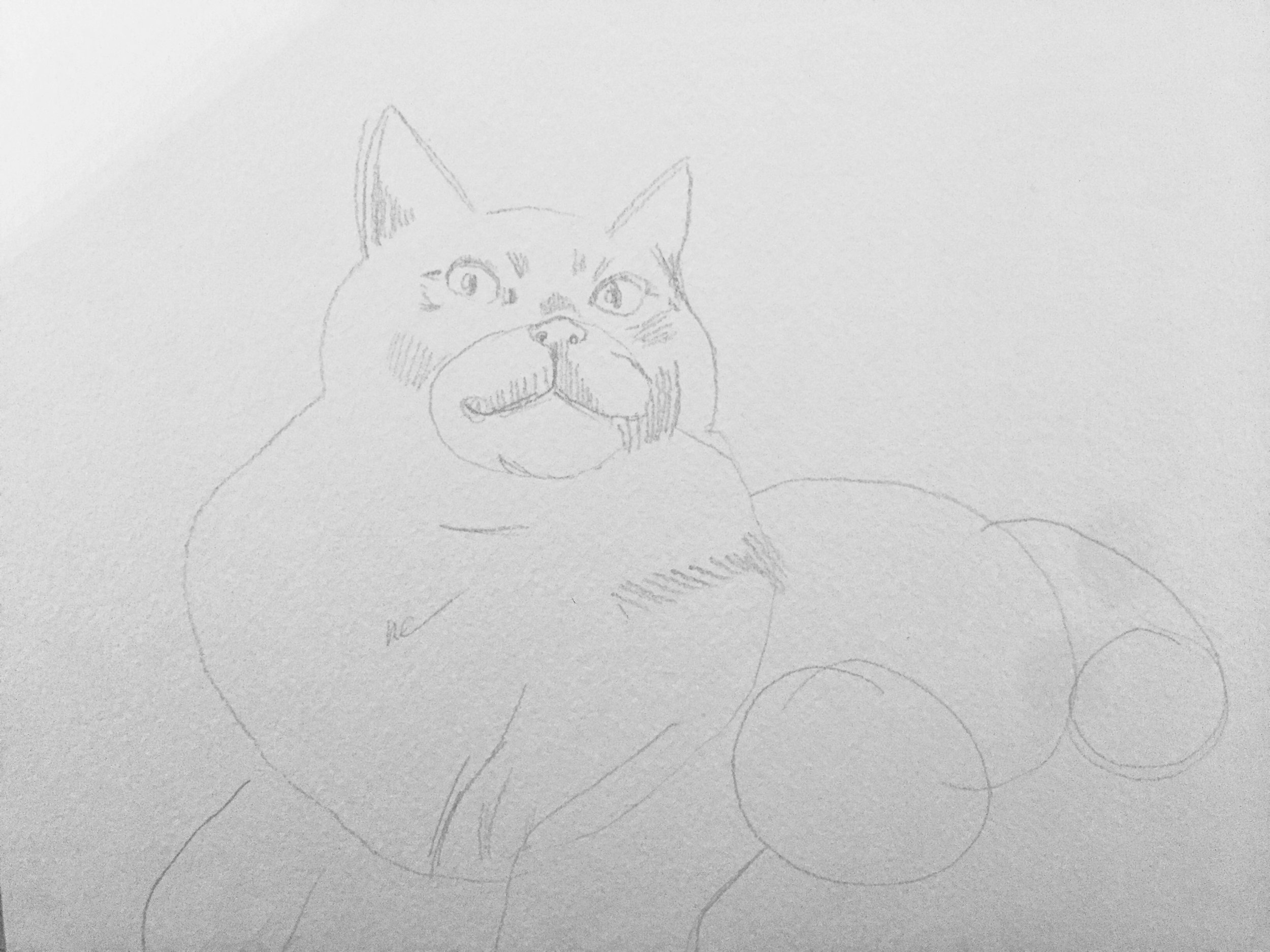 I've been penciling less lately, to see what I can achieve with the paints on the first go. I ended up erasing most of this, but not the detail around the face. 