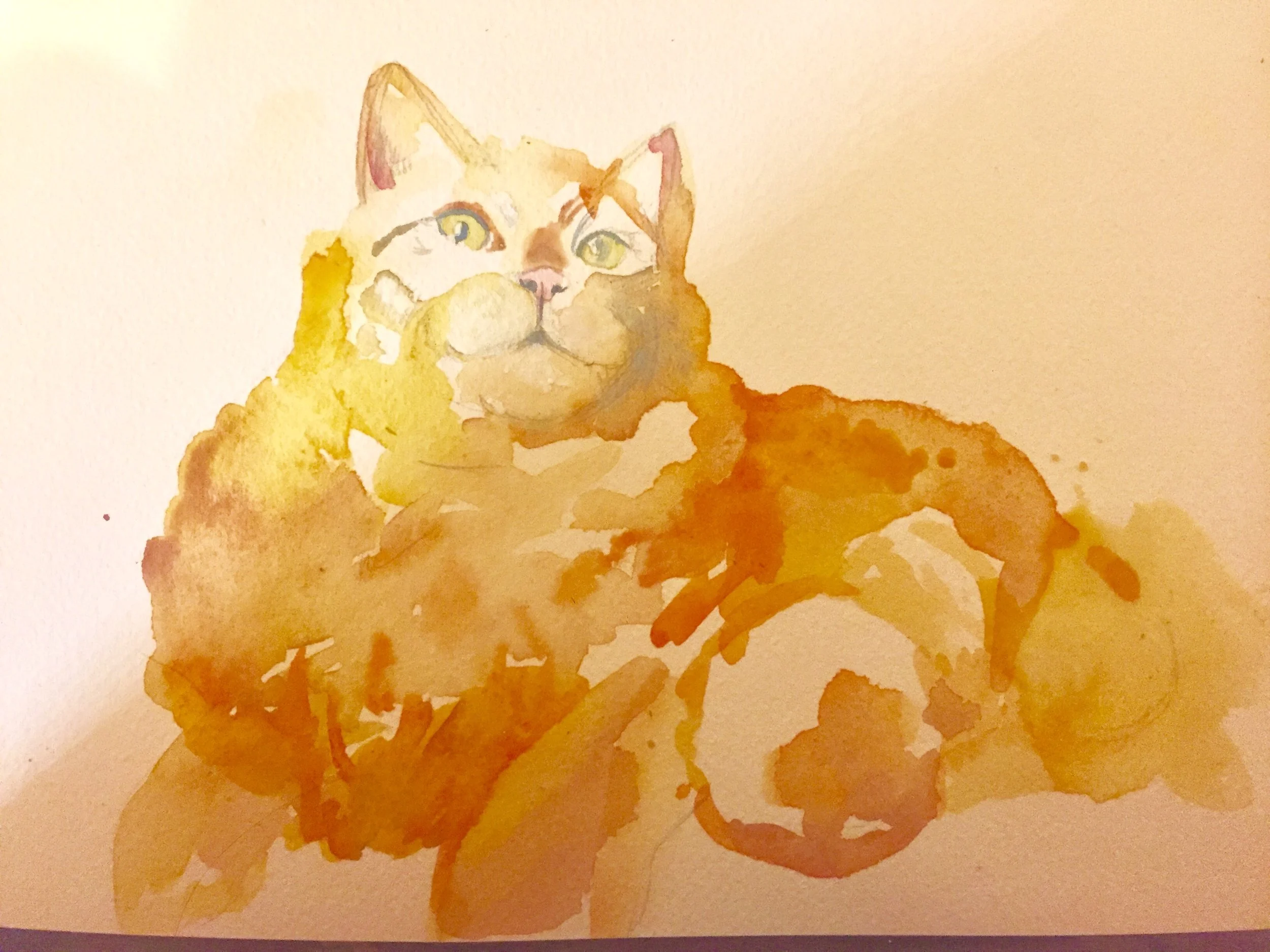 First round of color; pretty much entirely yellow and red. 