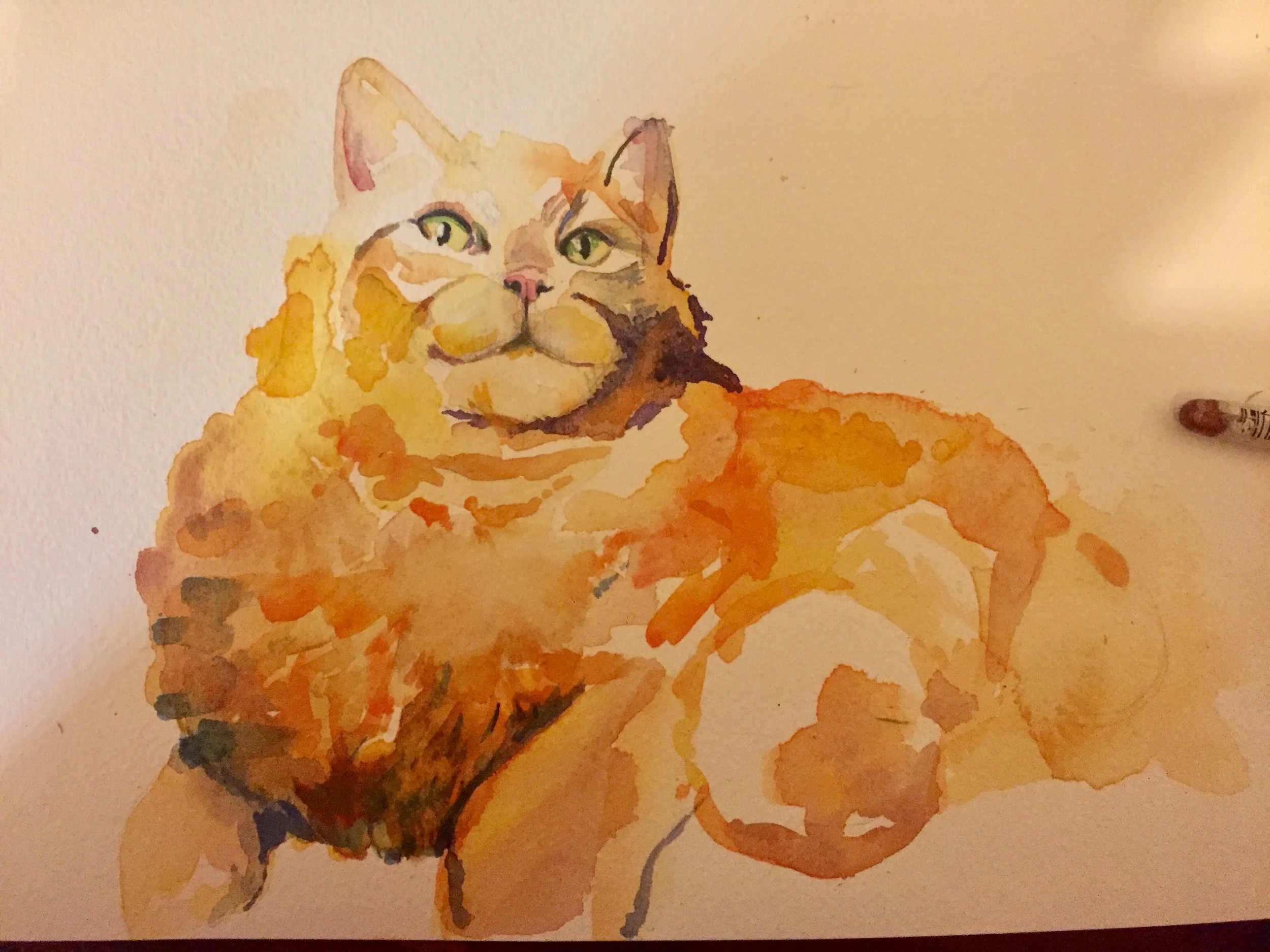 Added purple and blue. 