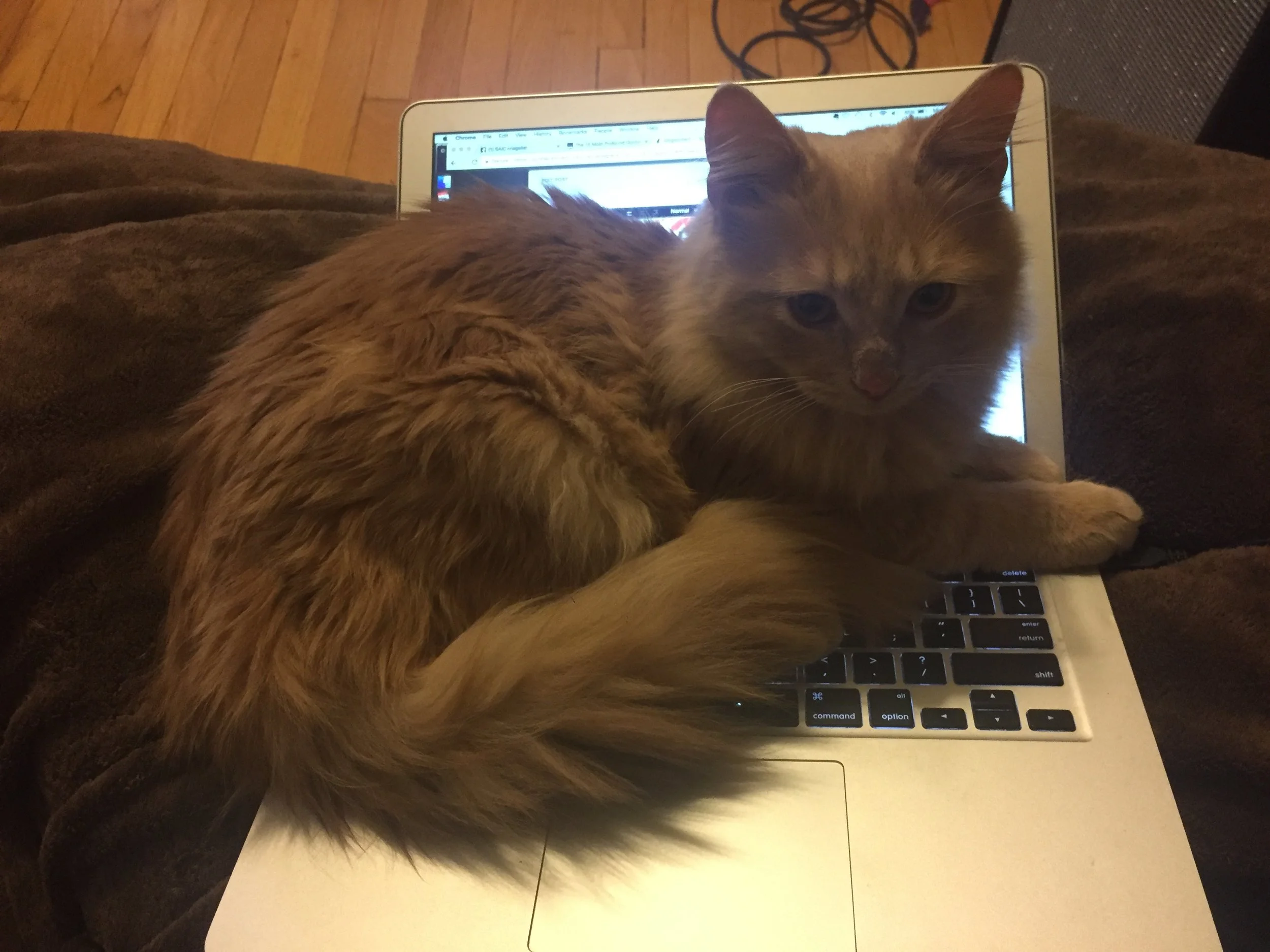 Here is Norman literally right now.