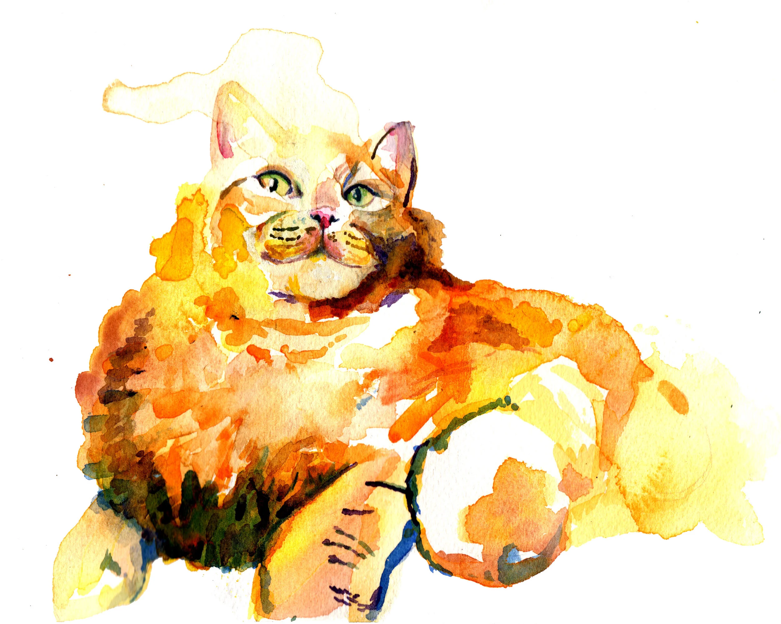 Norman