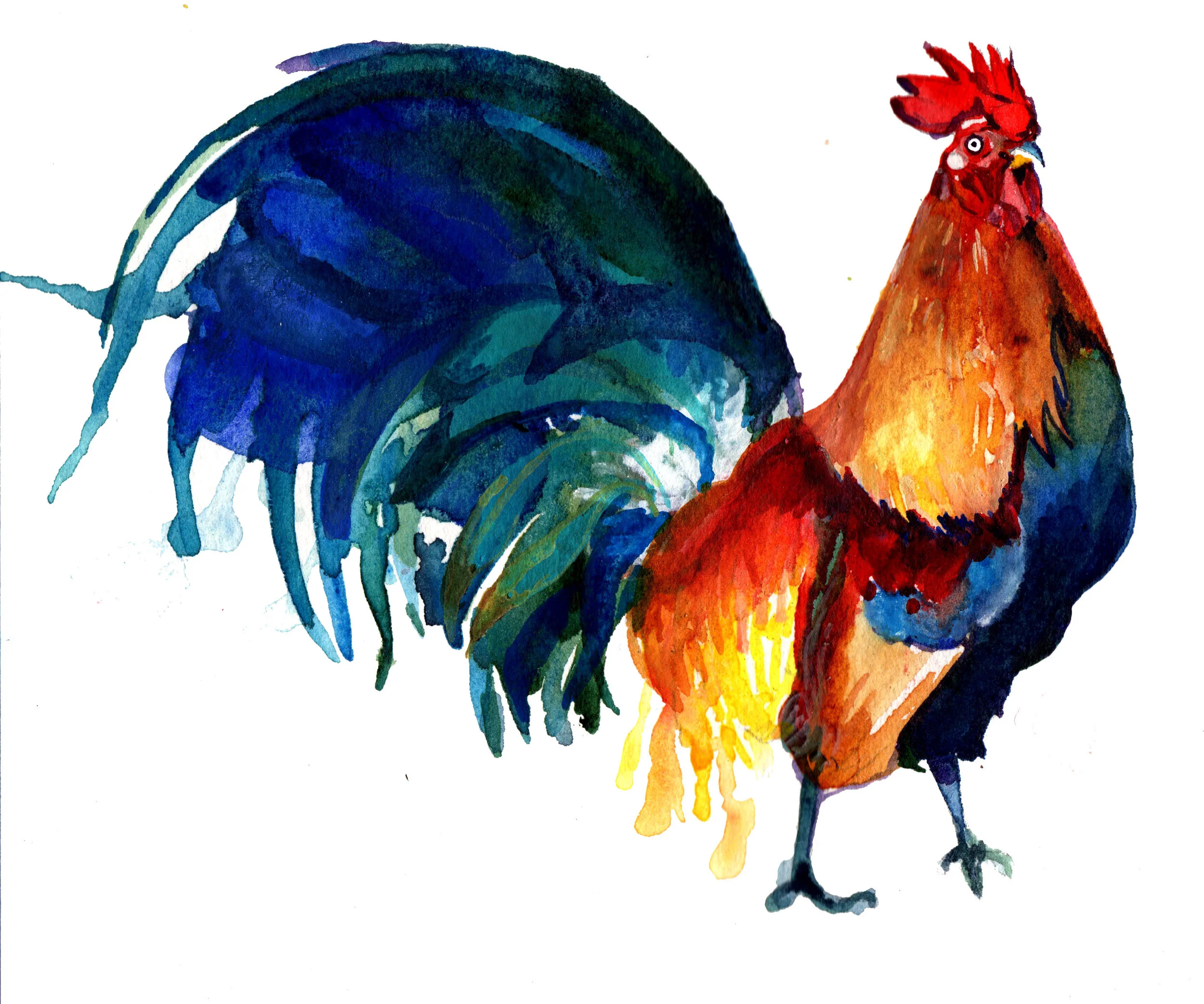 The Year of the Rooster