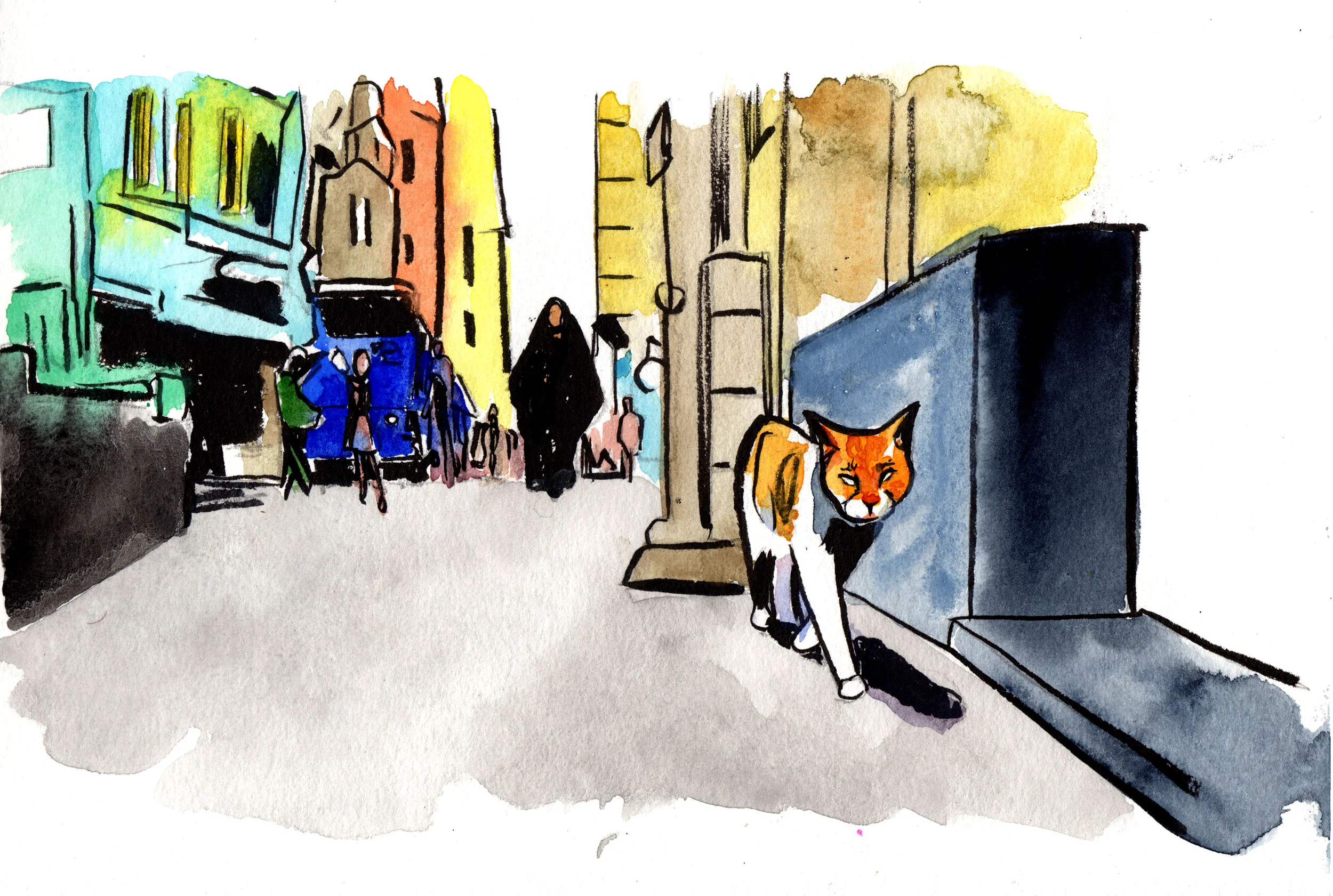 "Love is a 'Kedi'"