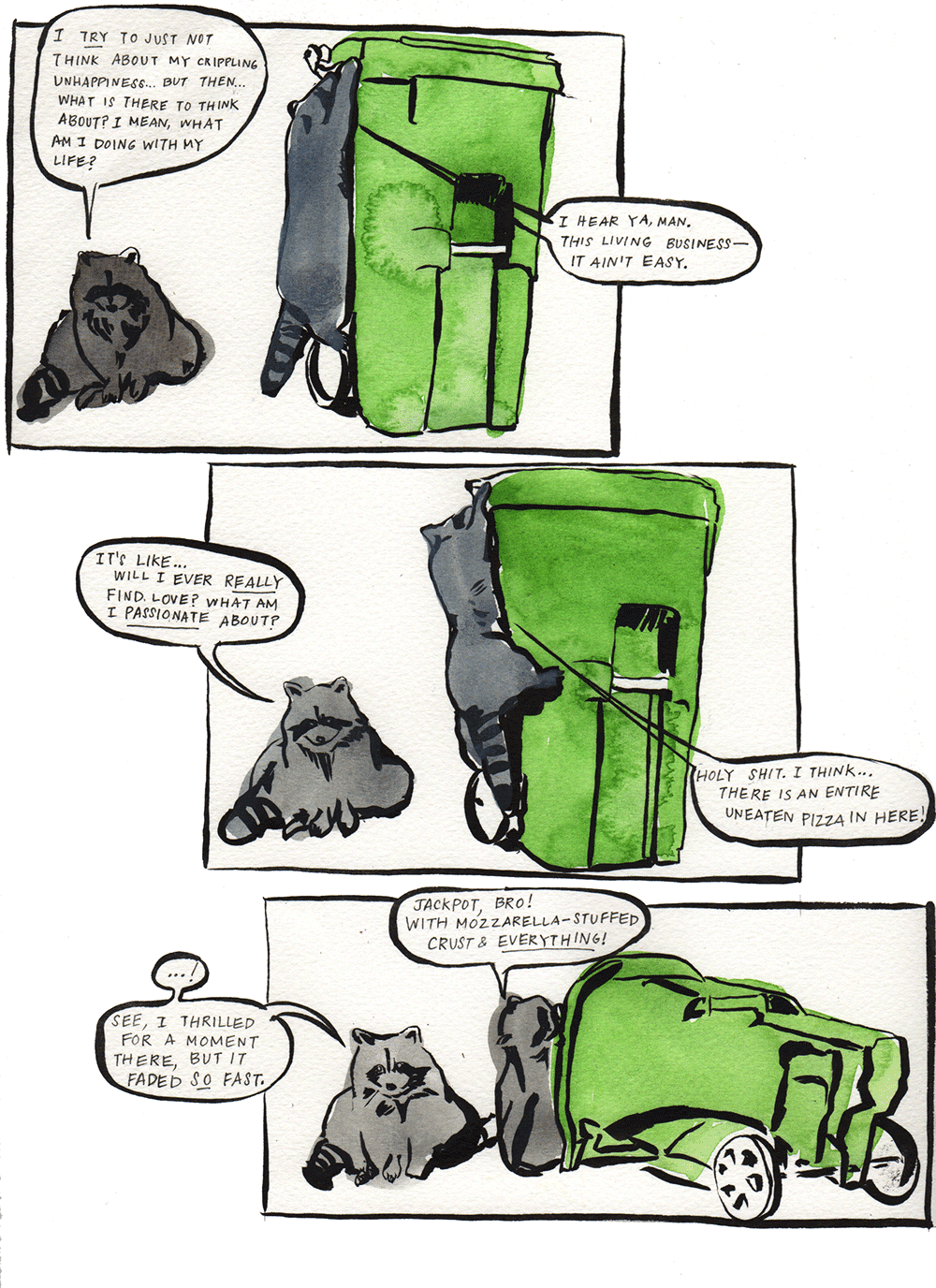Raccoons