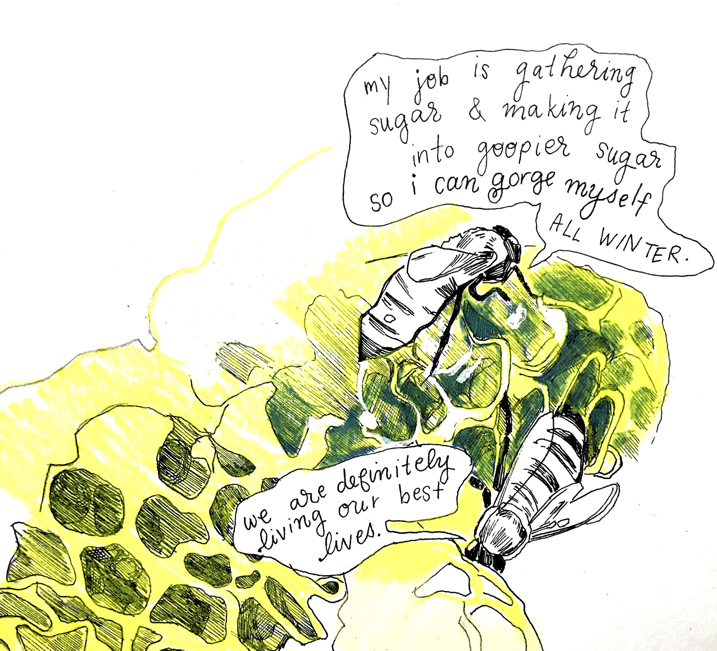 How to Extract Honey