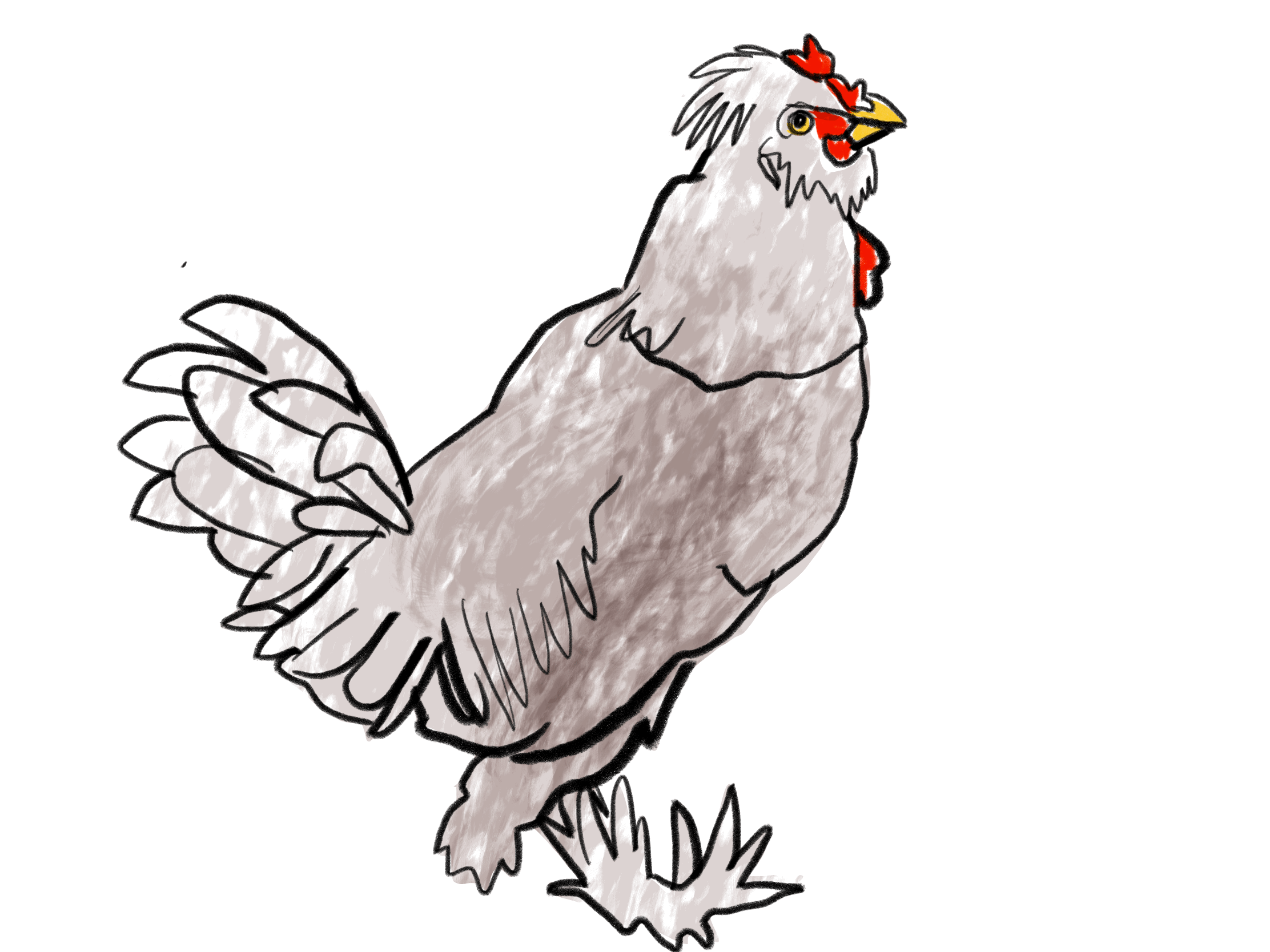 Feet Part Four: Foot the Chicken