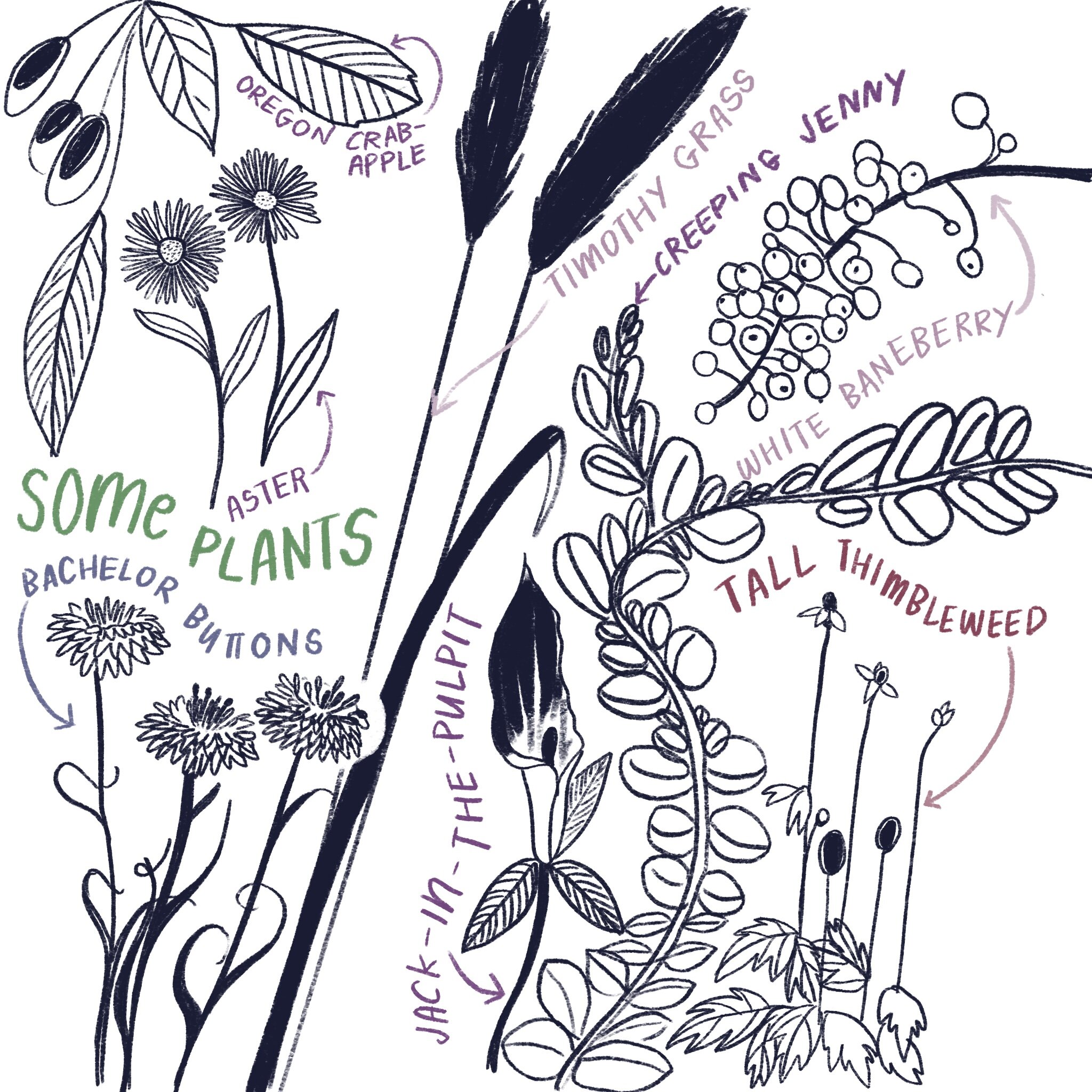 Untitled_Artwork 199.jpg