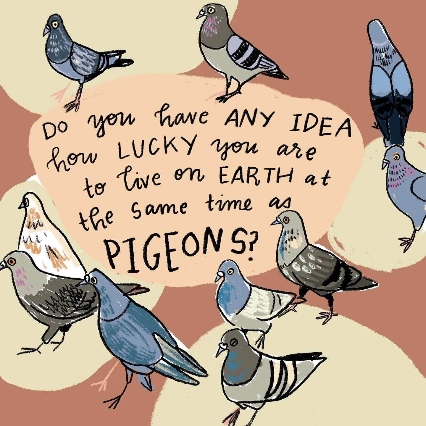 OK, fine, you asked for it.