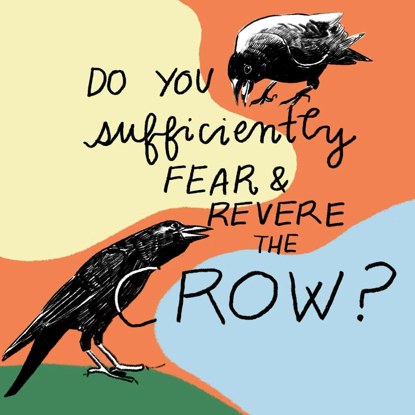 If you aren&rsquo;t worshipping crows yet, you should start.
