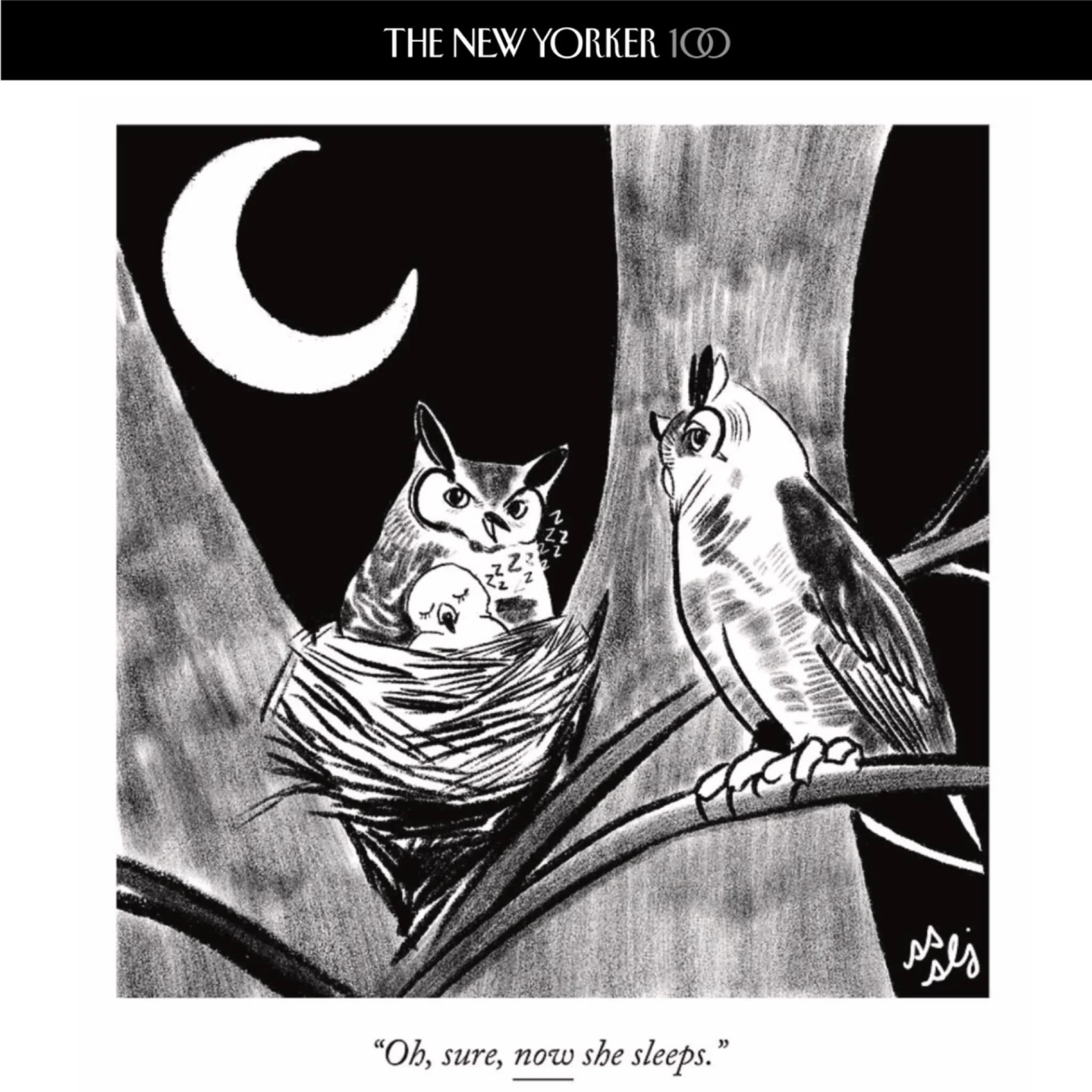 Ours in the January 26 issue of @newyorkermag ! And posted while this owl is asleep but my human daughter is very much awake. Thanks so much to @emmaewallen and @craezy for taking this. These are written with @skullmoski, and we post more at @sophiea