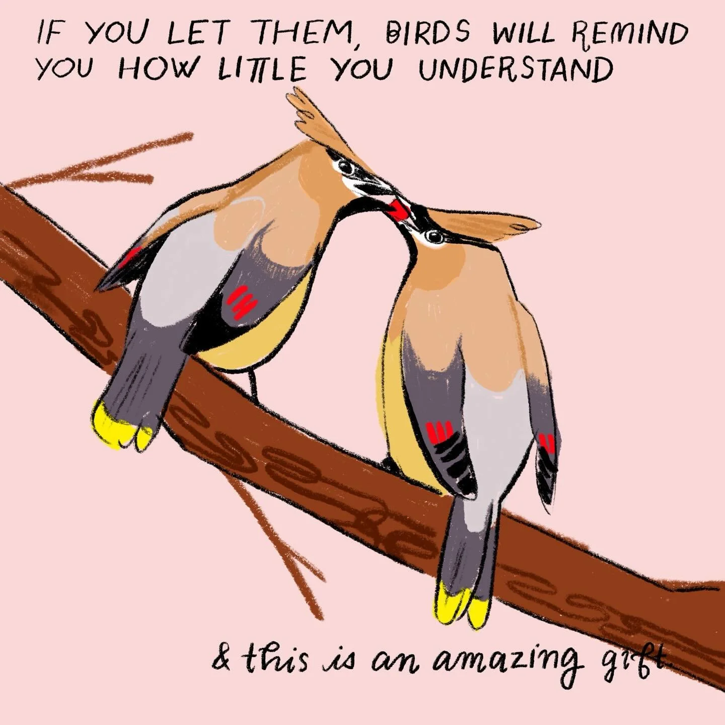 How do they possibly look like that sound like that sing like that eat like that fly like that live like that behave like that&hellip; living alongside birds is like living in a beautiful sci-fi novel an for some reason we aren&rsquo;t just constantl