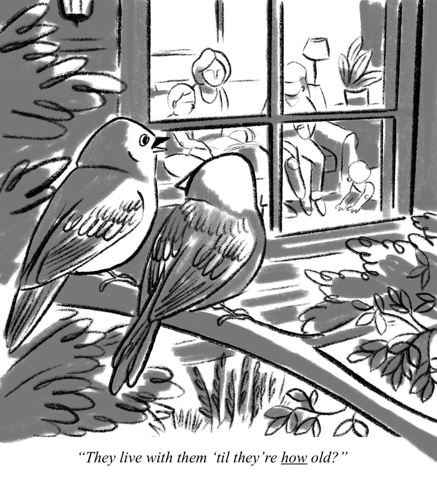 Almost all the cartoons I pitch are about birds. Welcome, birds! 
I write these with @skullmoski and we have make at @sophieandsammi