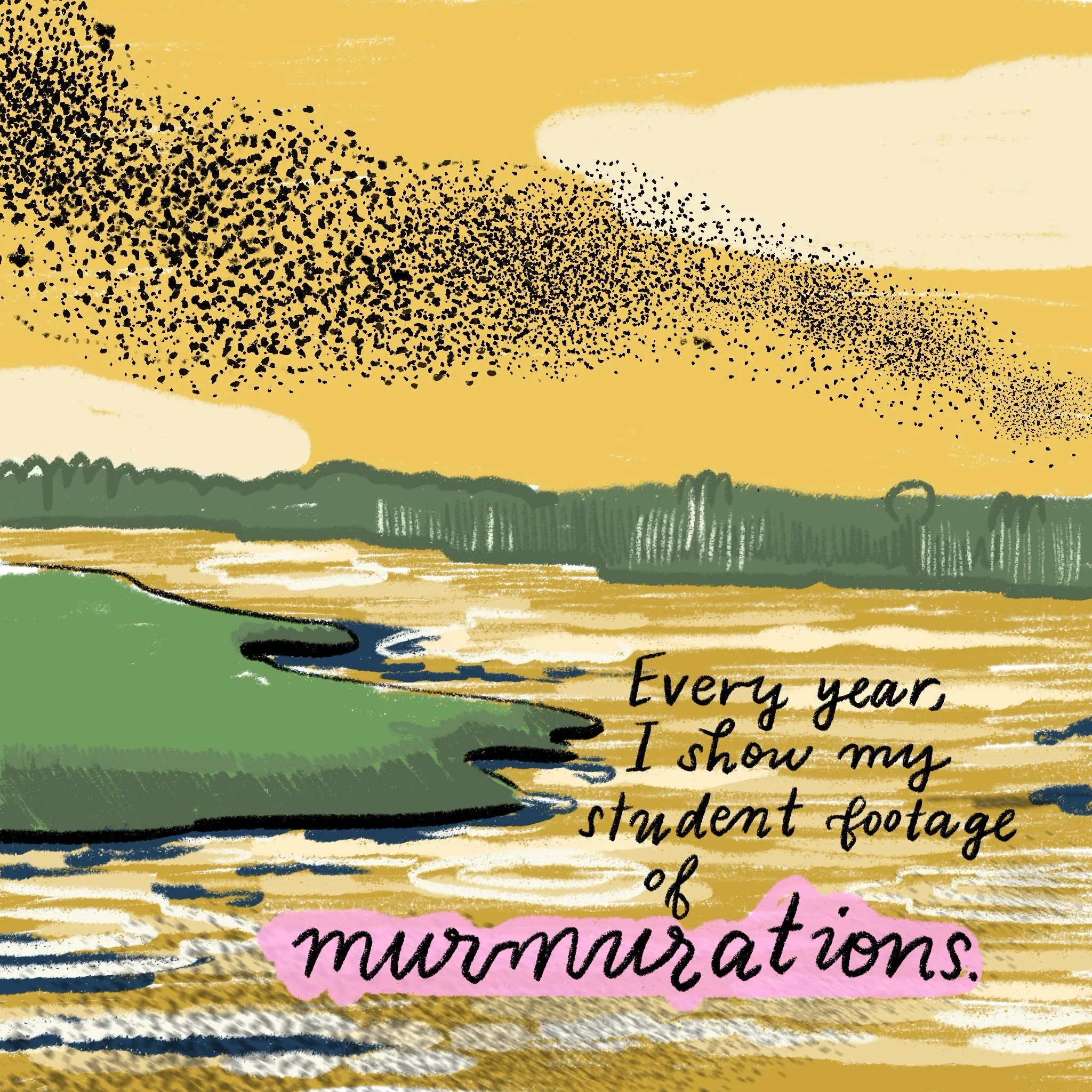 File under: Things I think about more than one time per day. If you are, by some accident, unfamiliar with murmurations (so named because of the sound they make due to the massive beating of wings), stop scrolling and go watch videos of this incredib