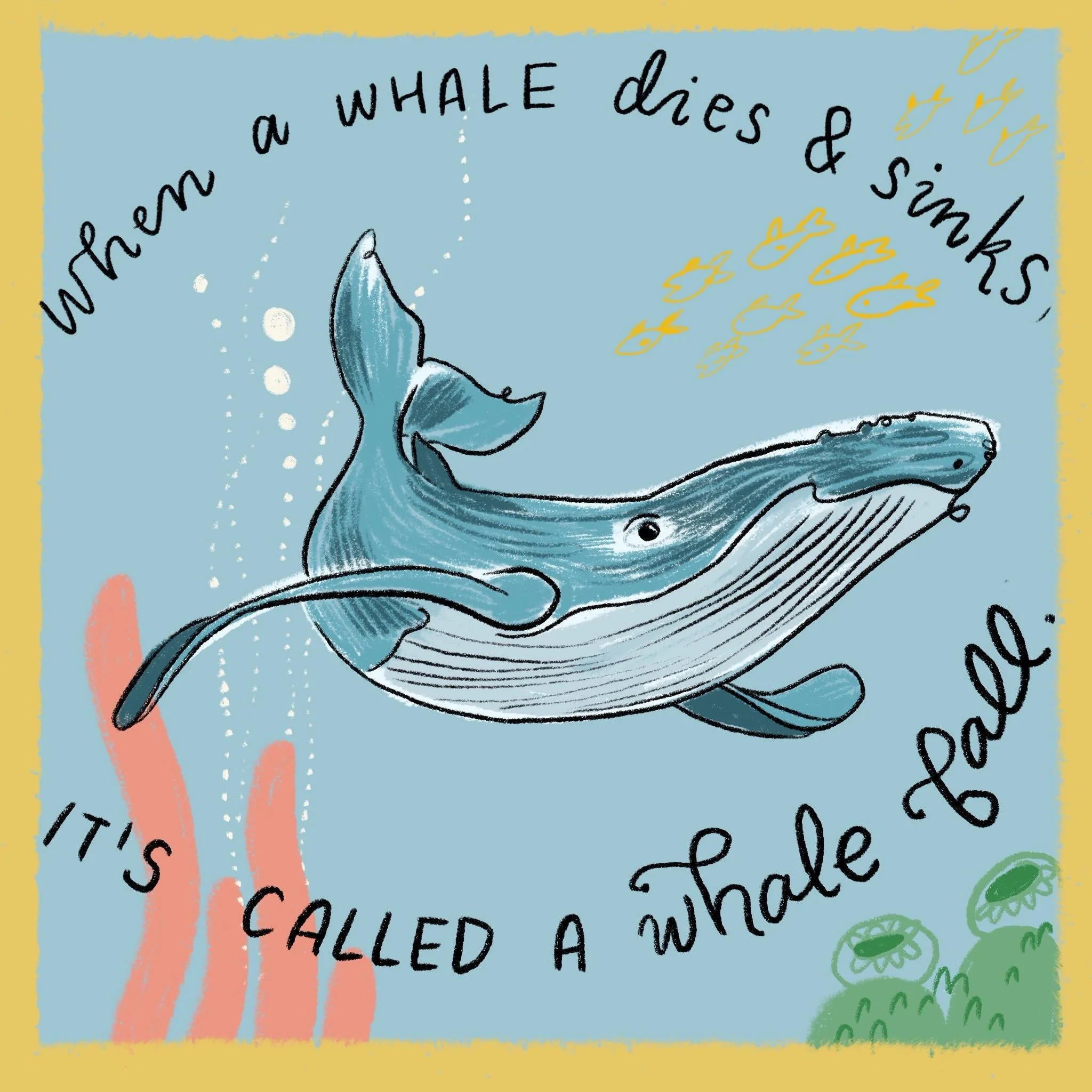 I think of whale falls multiple times a week. One single skeleton can feed hundreds of species for up to a century, which transforms the ocean floor into a veritable OASIS of vibrant biological activity. You are here for a short time; matter cannot b