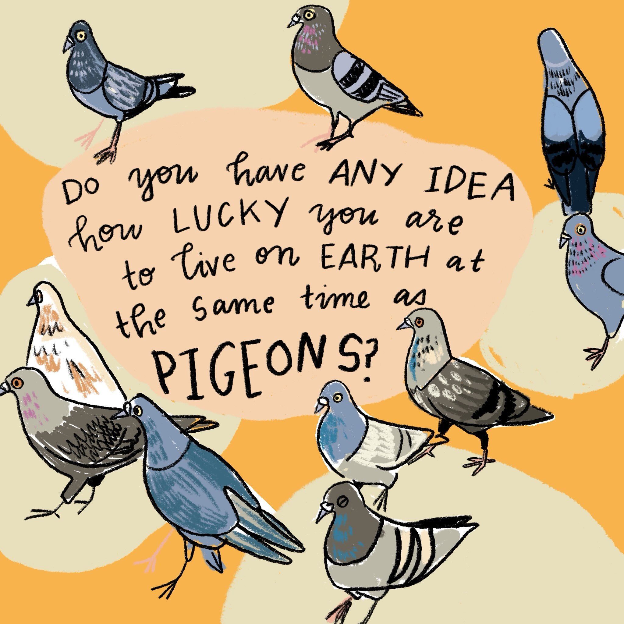 Alright alright alright &mdash; by popular demand I&rsquo;m bringing this one to the top again. Yes, these are all factually accurate facts; you can google them VERY EASILY. Pigeons are my love language and my religion. Join me.