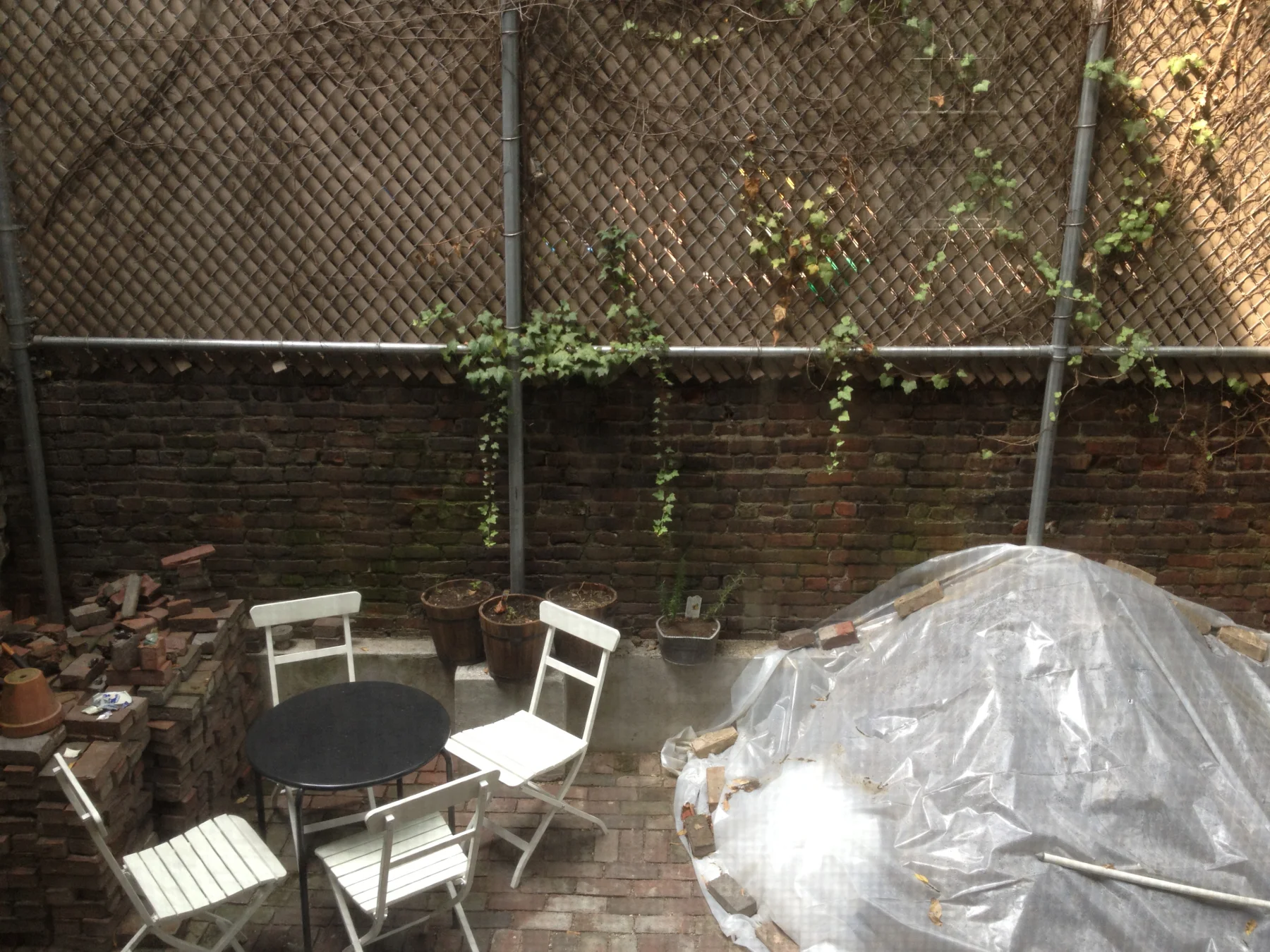 The Site