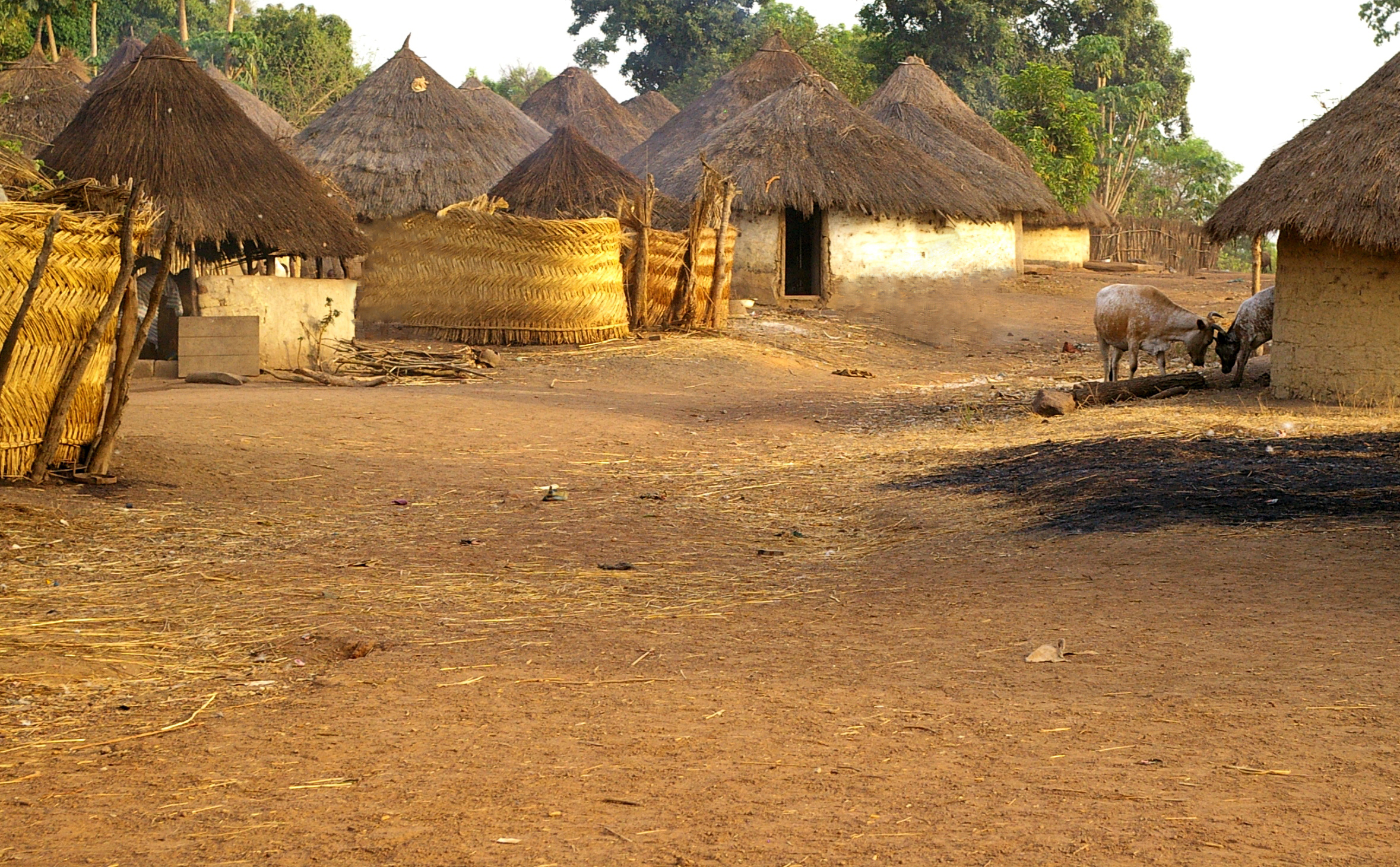 Age of the Church Planting Movement