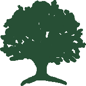 CCP Green Tree Logo_cropped.png