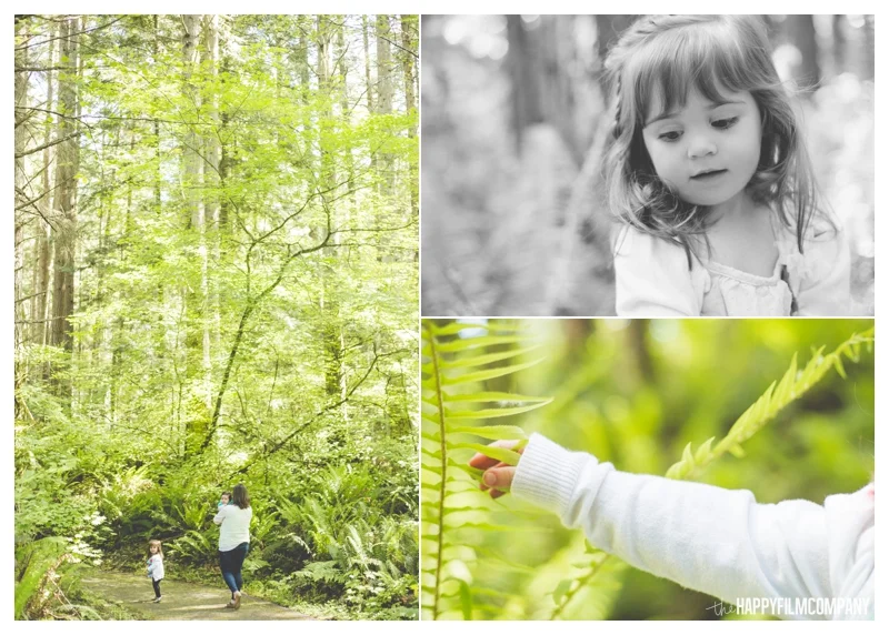 Seattle Family Videos - the Happy Film Company