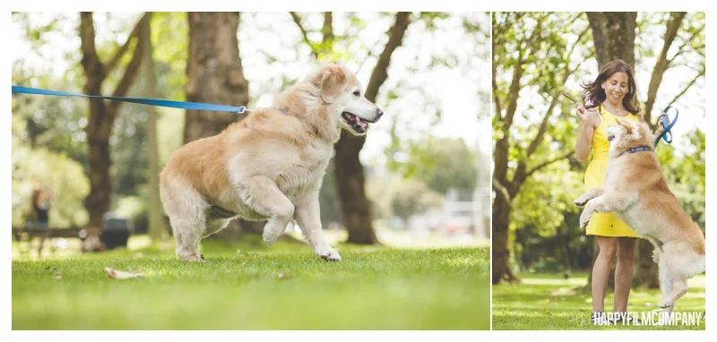 Seattle Family Photos - the Happy Film Company