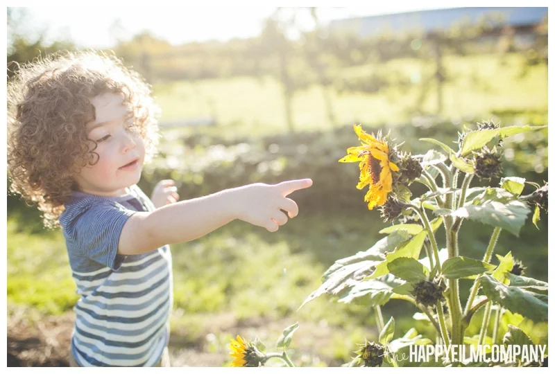 little boy sunflower photo - Seattle Family Apple Picking Photo Shoot - the Happy Film Company
