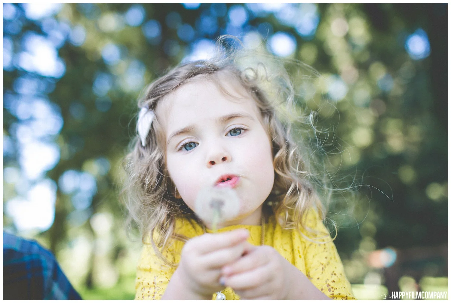 Little girl holding the dandelion- the Happy Film Company - Seattle Family Photography
