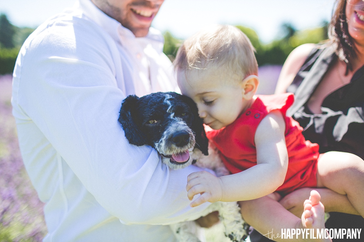 Little baby and cute dog - the Happy Film Company - Seattle Mini Family Photo Shoots